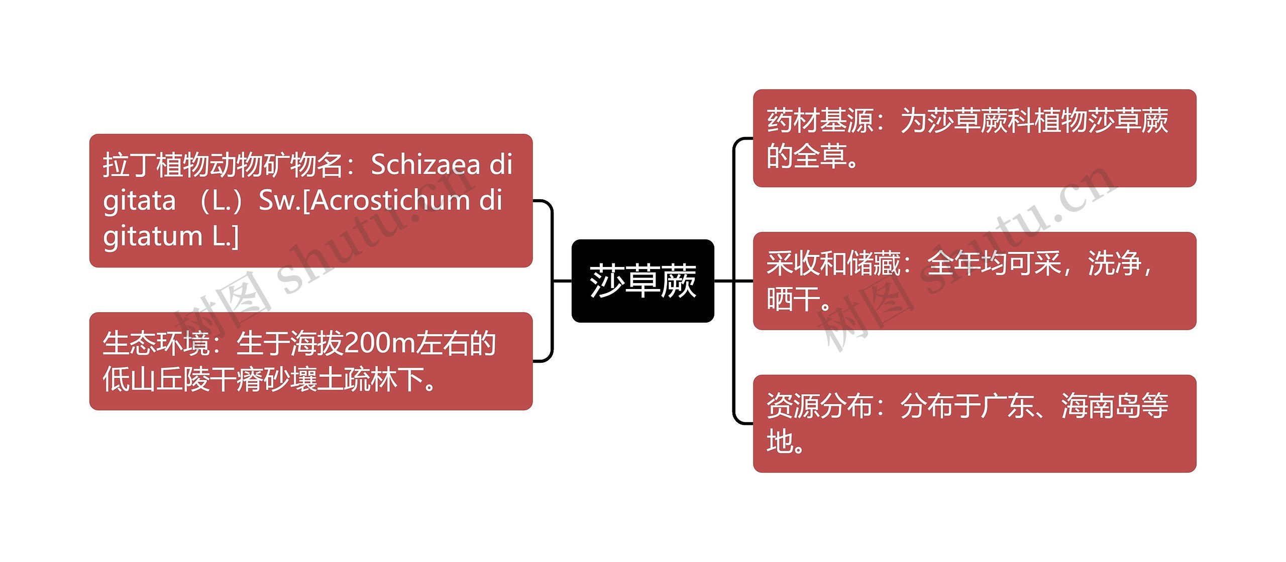 莎草蕨思维导图