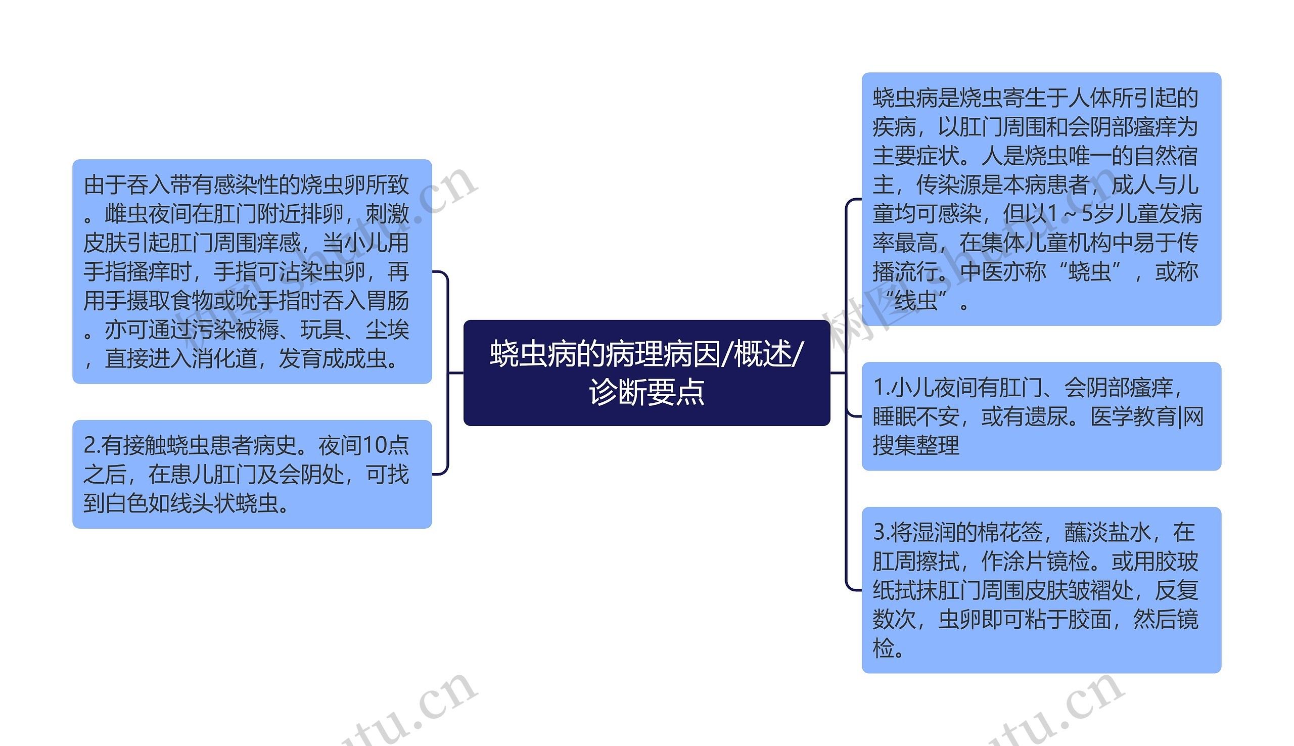 蛲虫病的病理病因/概述/诊断要点思维导图