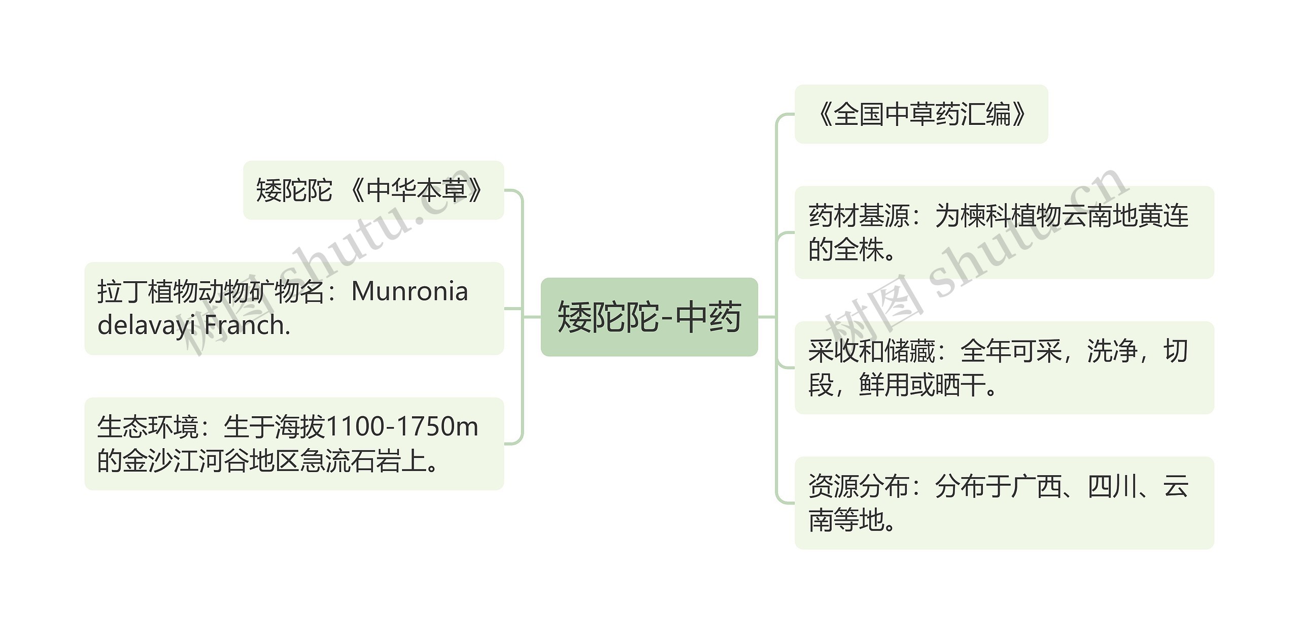 矮陀陀-中药思维导图