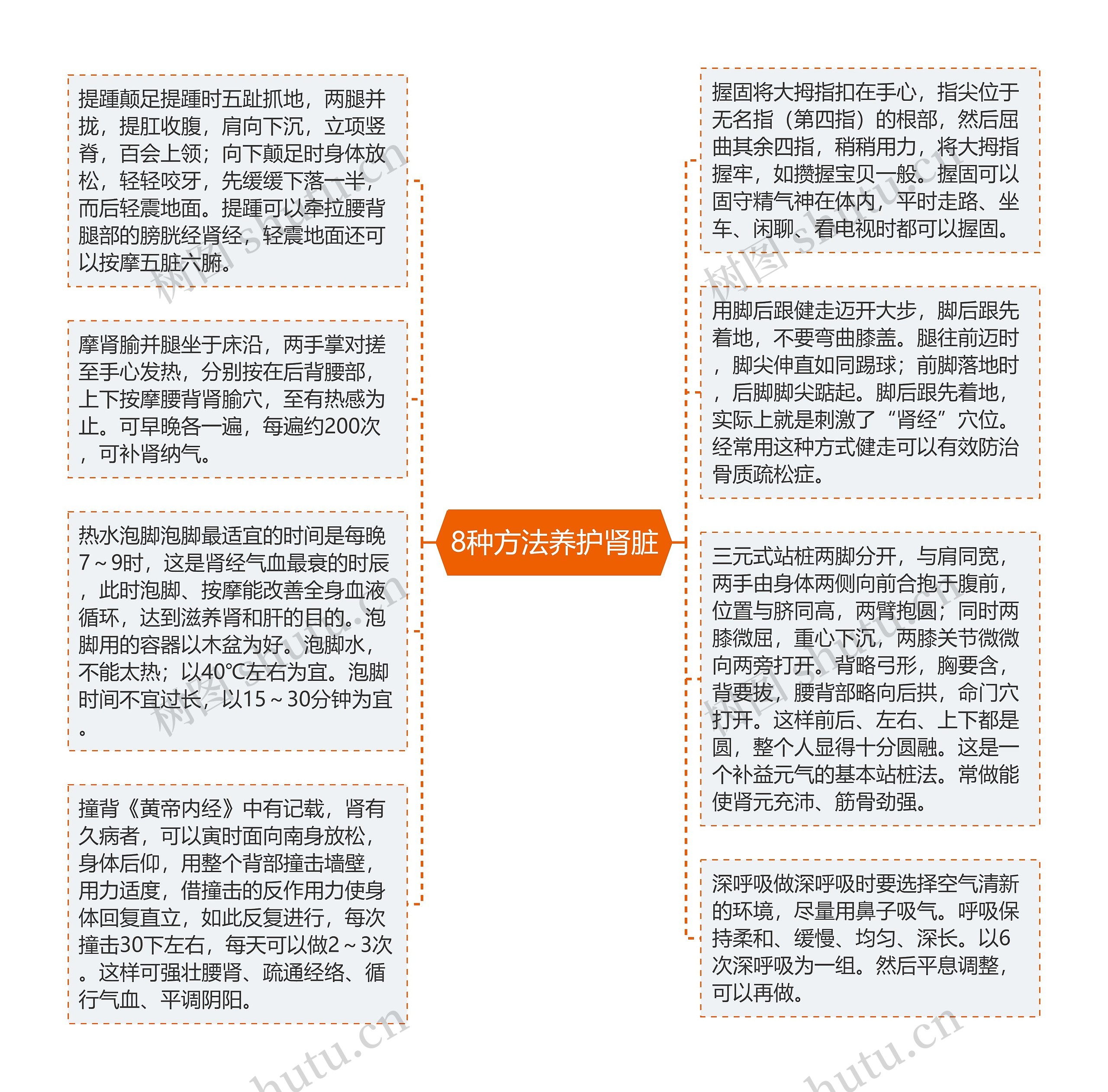 8种方法养护肾脏思维导图