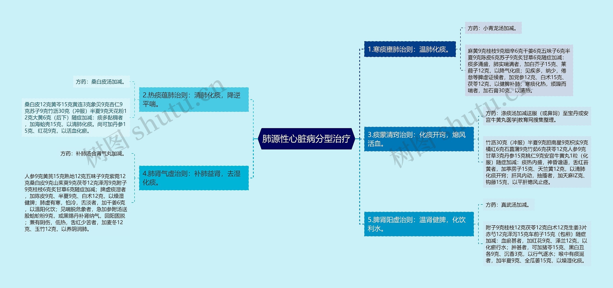 肺源性心脏病分型治疗