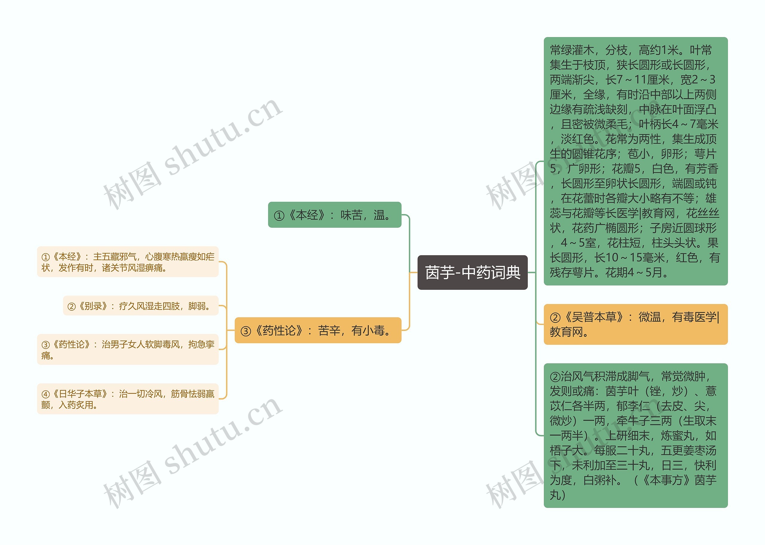 茵芋-中药词典思维导图