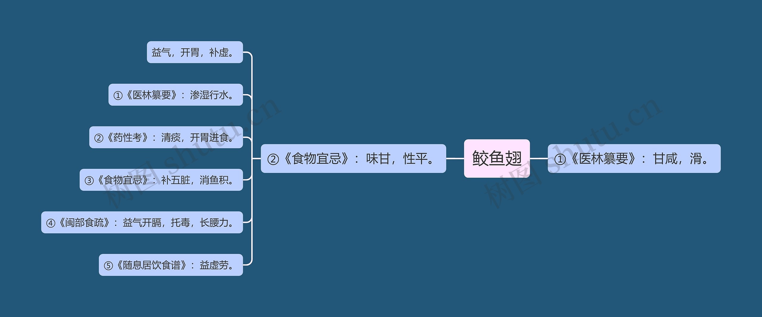 鲛鱼翅思维导图