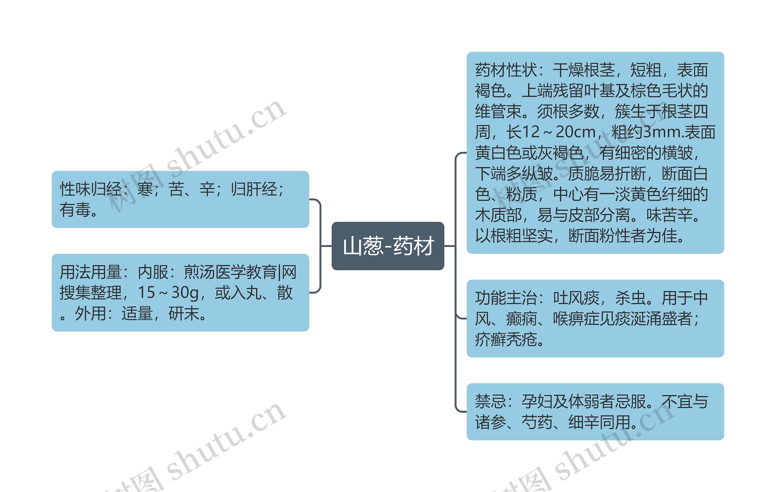 山葱-药材思维导图