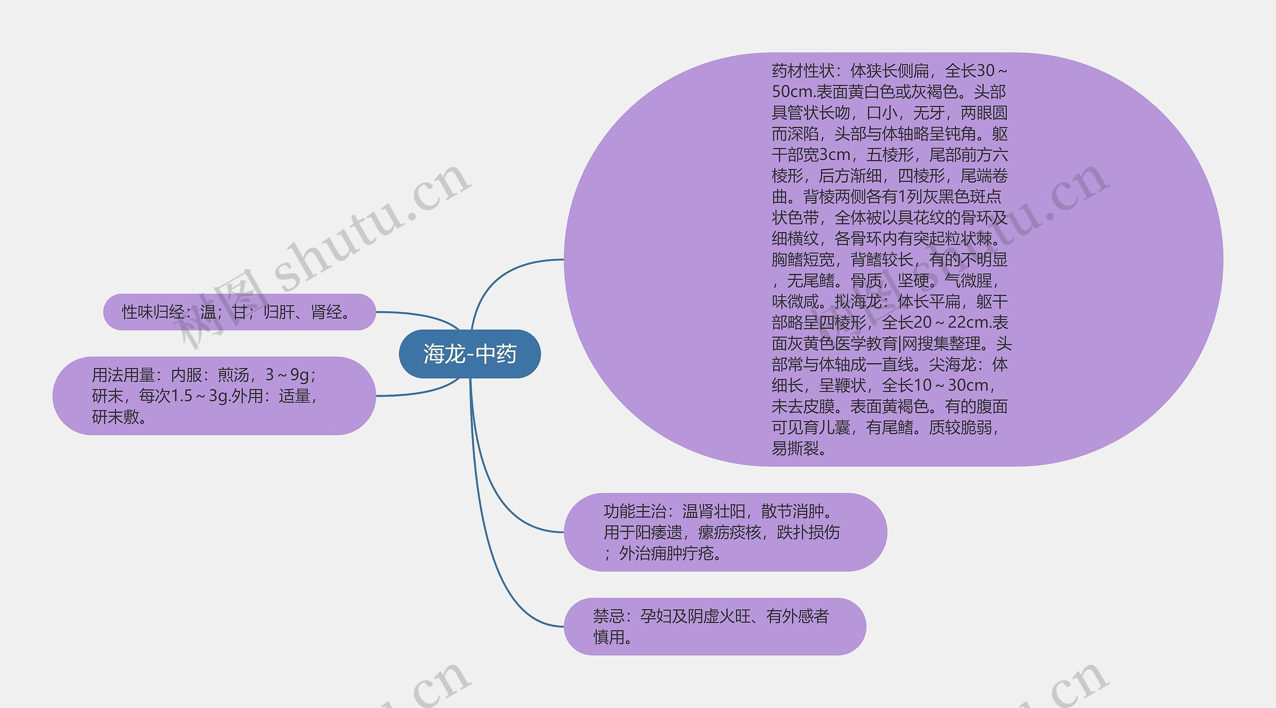 海龙-中药思维导图