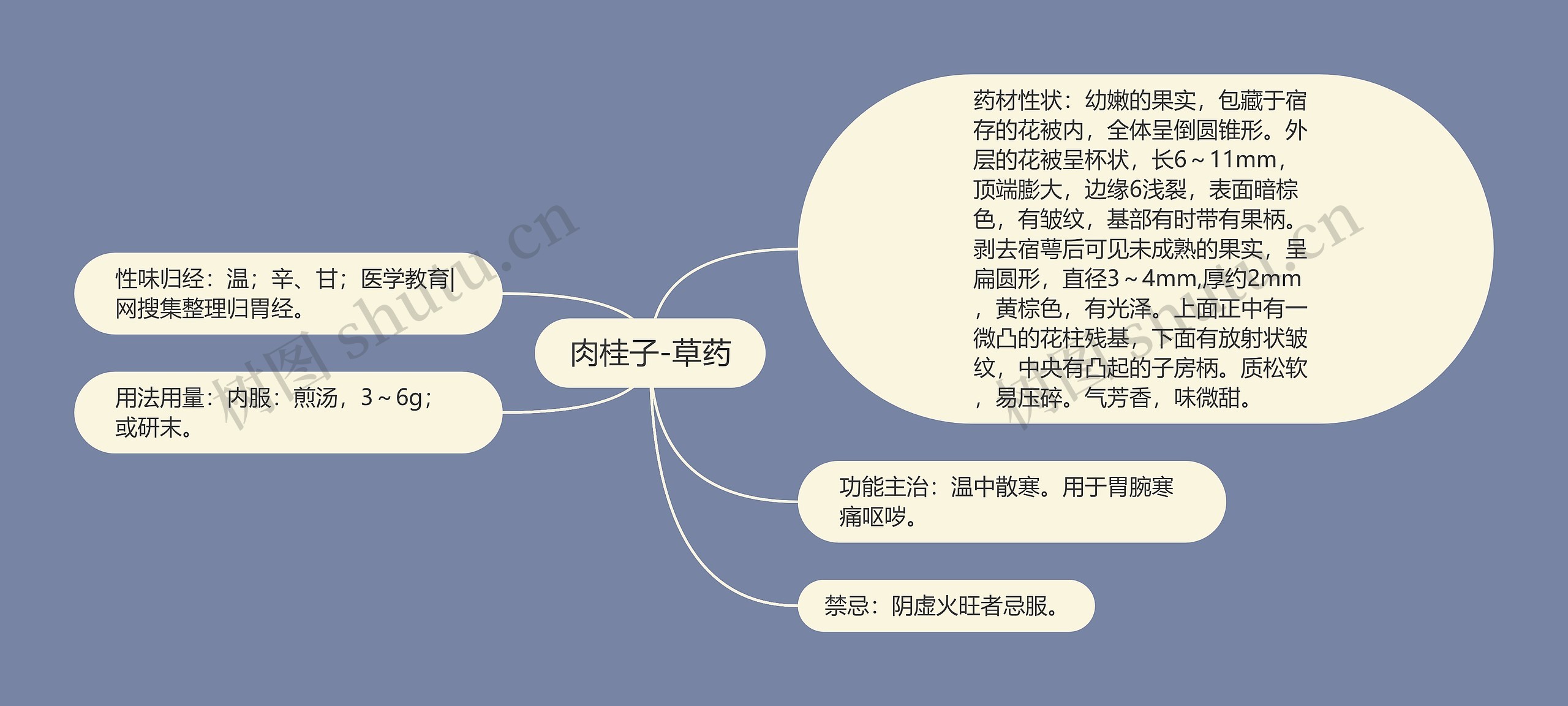 肉桂子-草药 肉桂子-草药