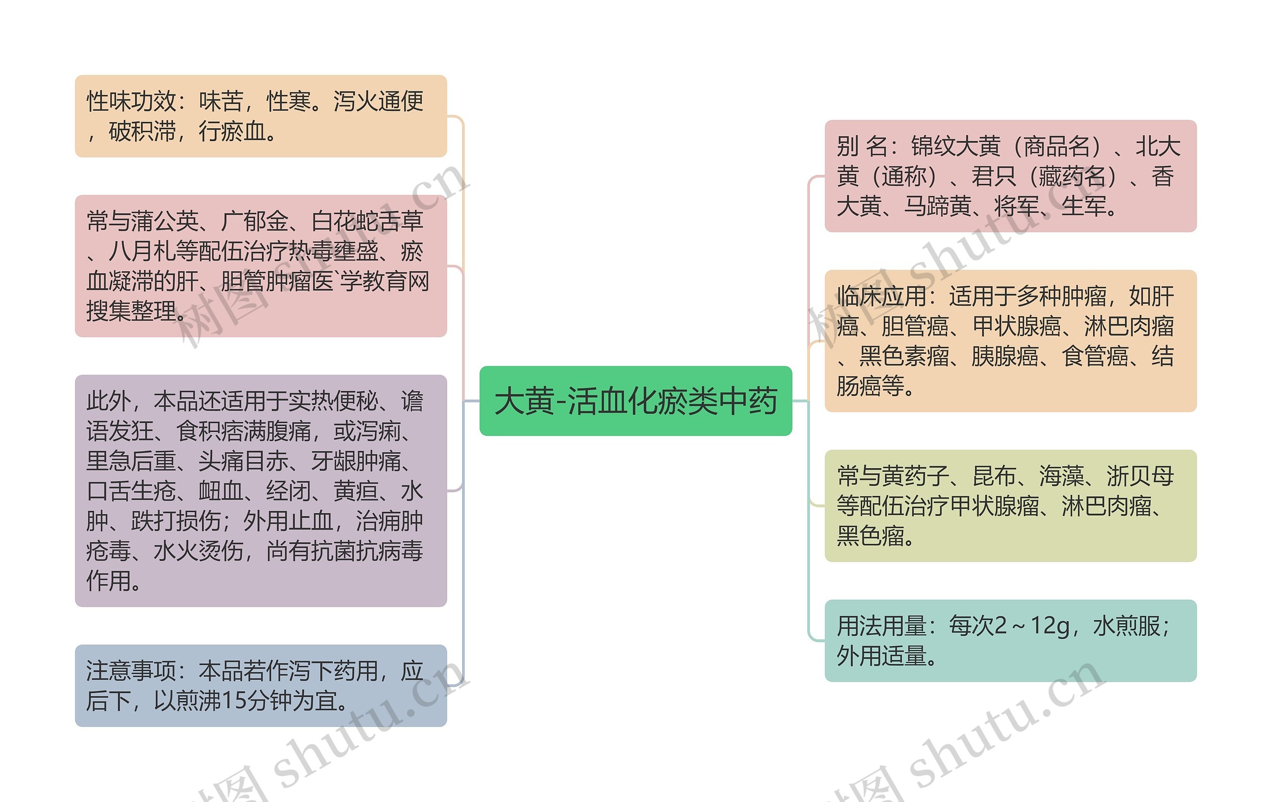 大黄-活血化瘀类中药