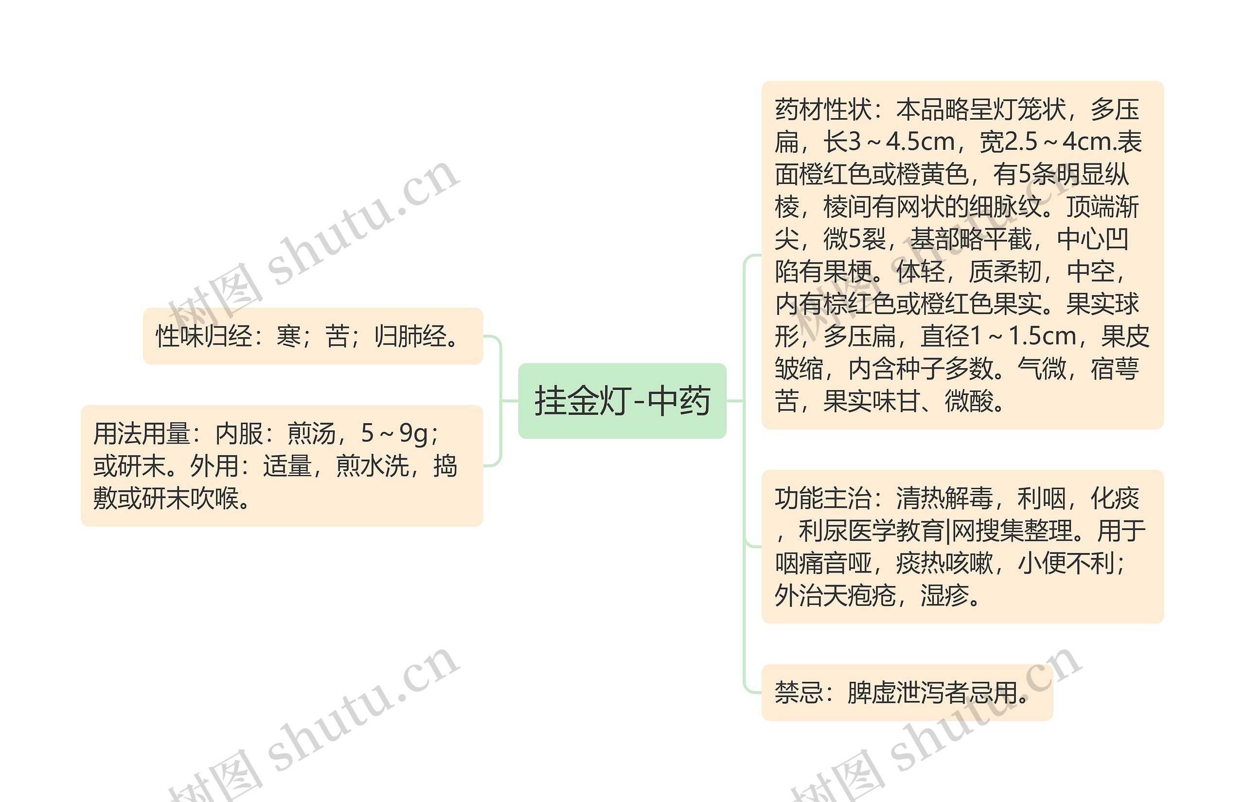 挂金灯-中药思维导图