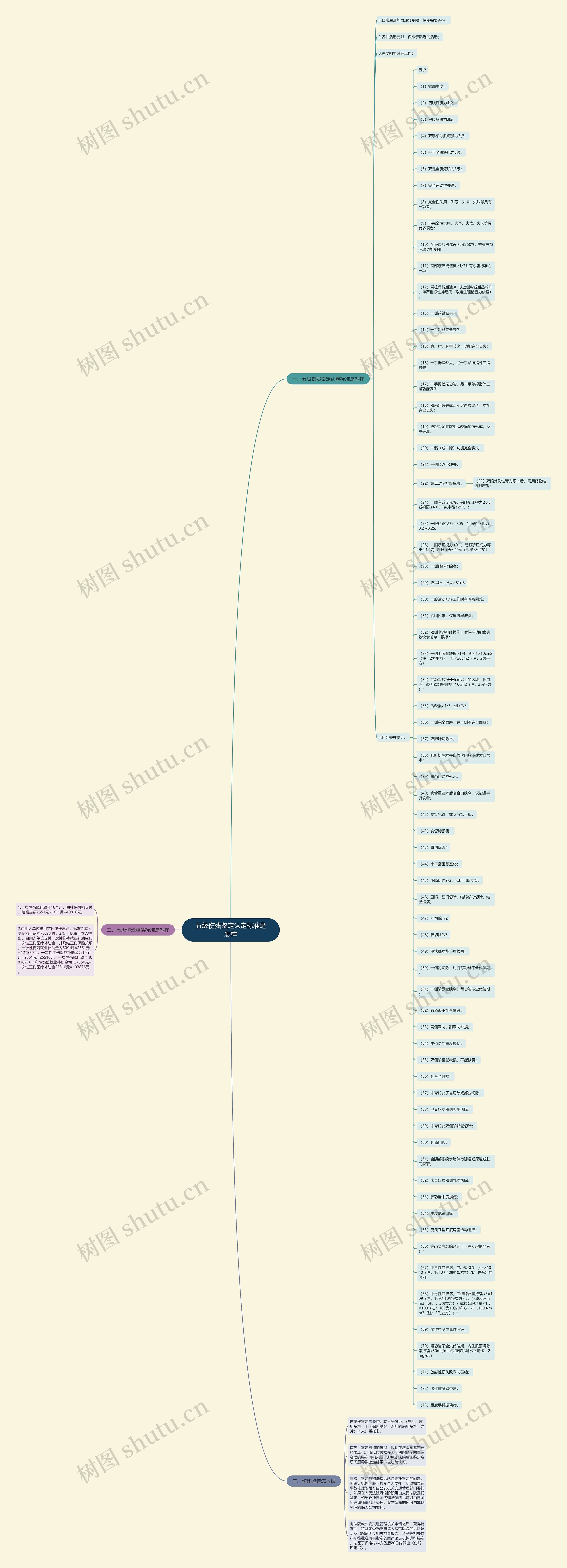 五级伤残鉴定认定标准是怎样思维导图