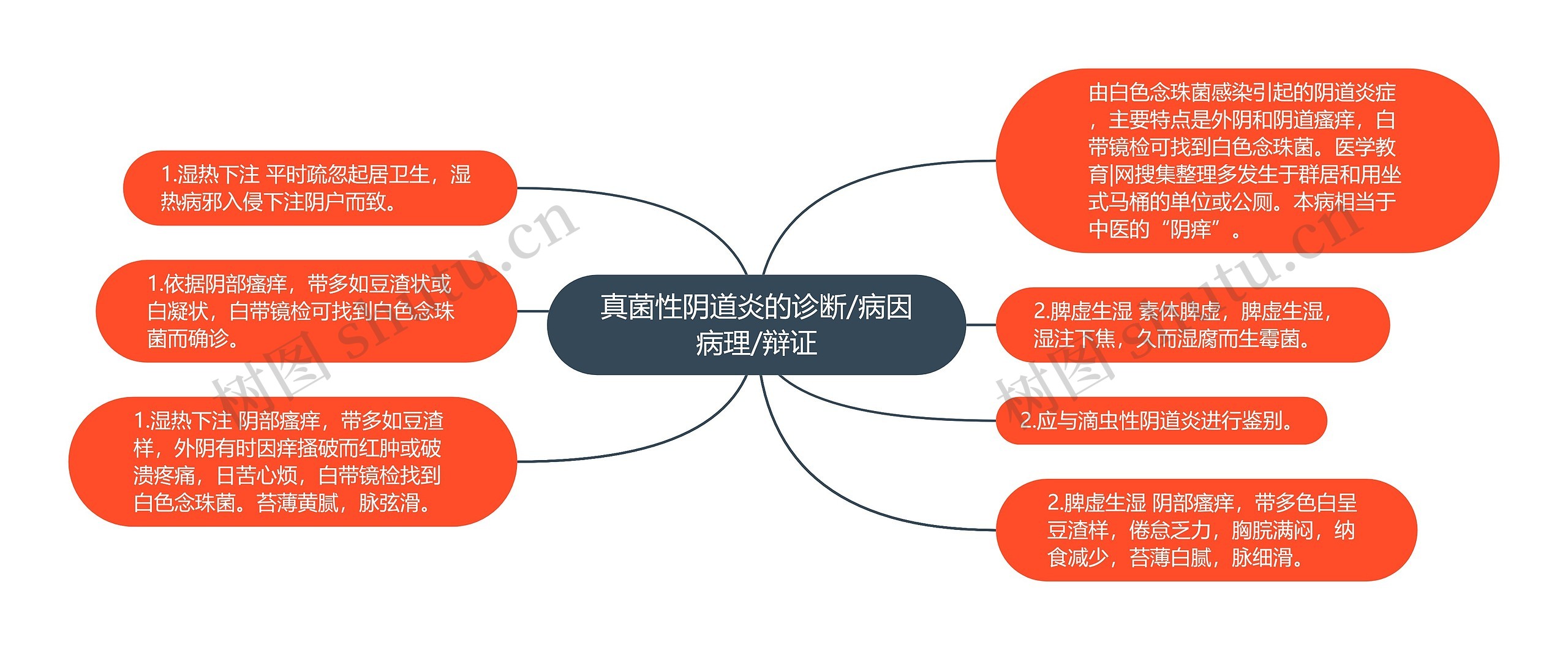 真菌性阴道炎的诊断/病因病理/辩证