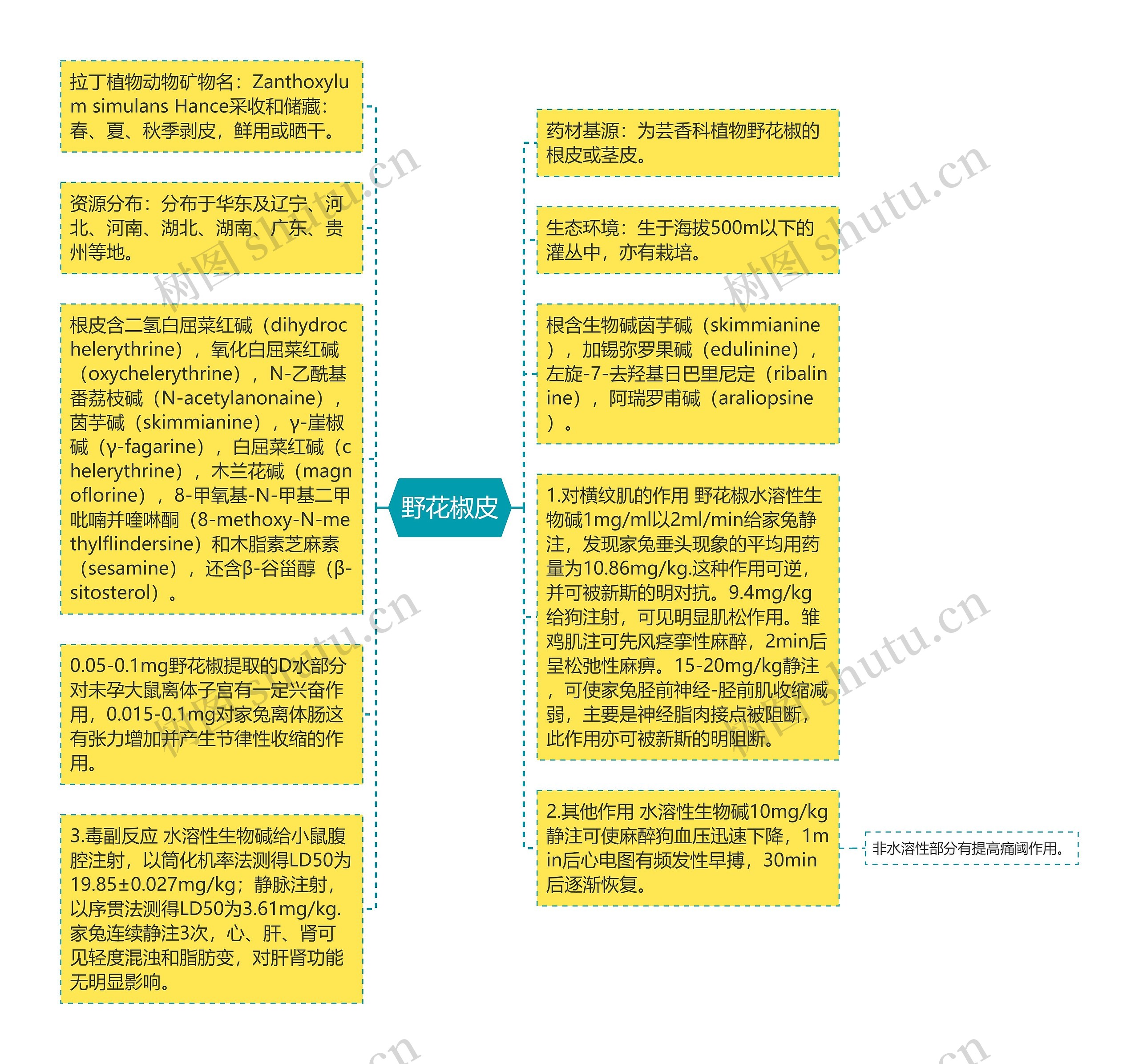 野花椒皮思维导图