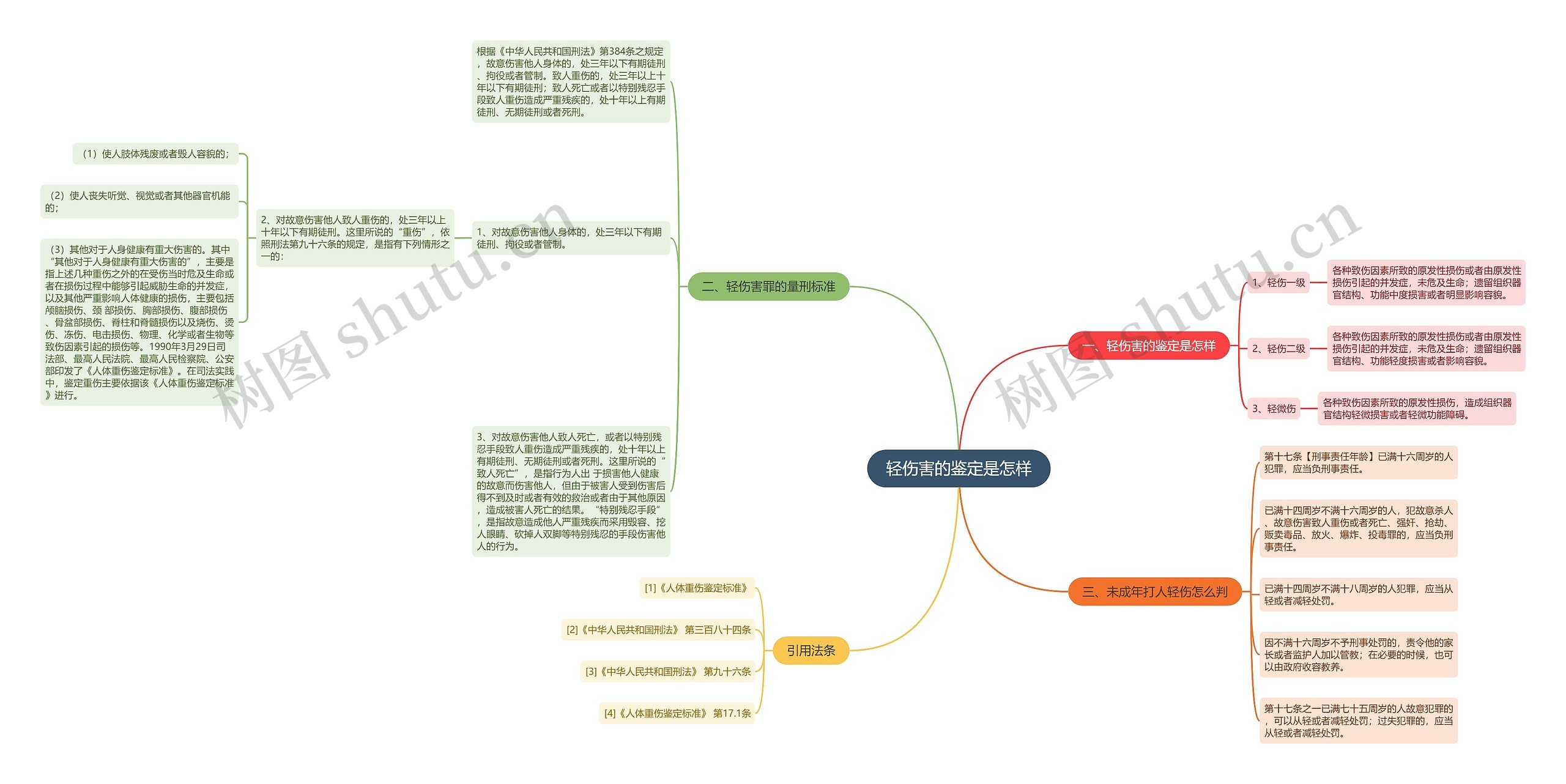 轻伤害的鉴定是怎样思维导图