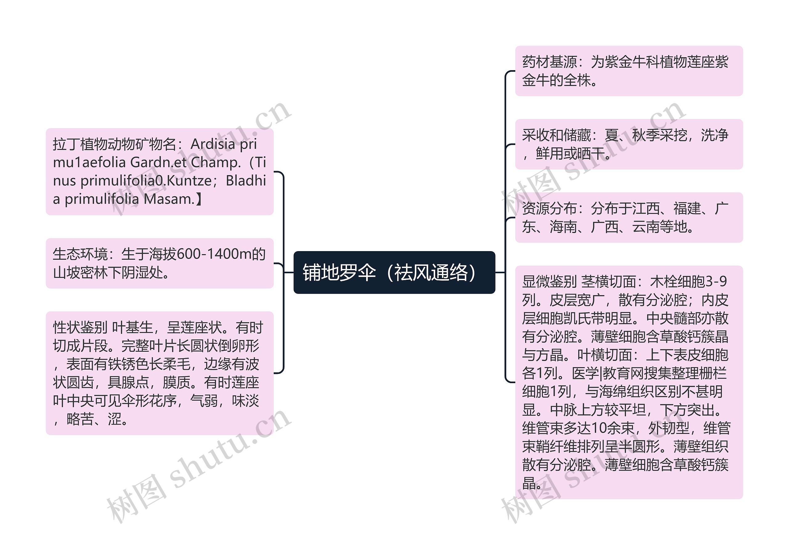 铺地罗伞（祛风通络）思维导图