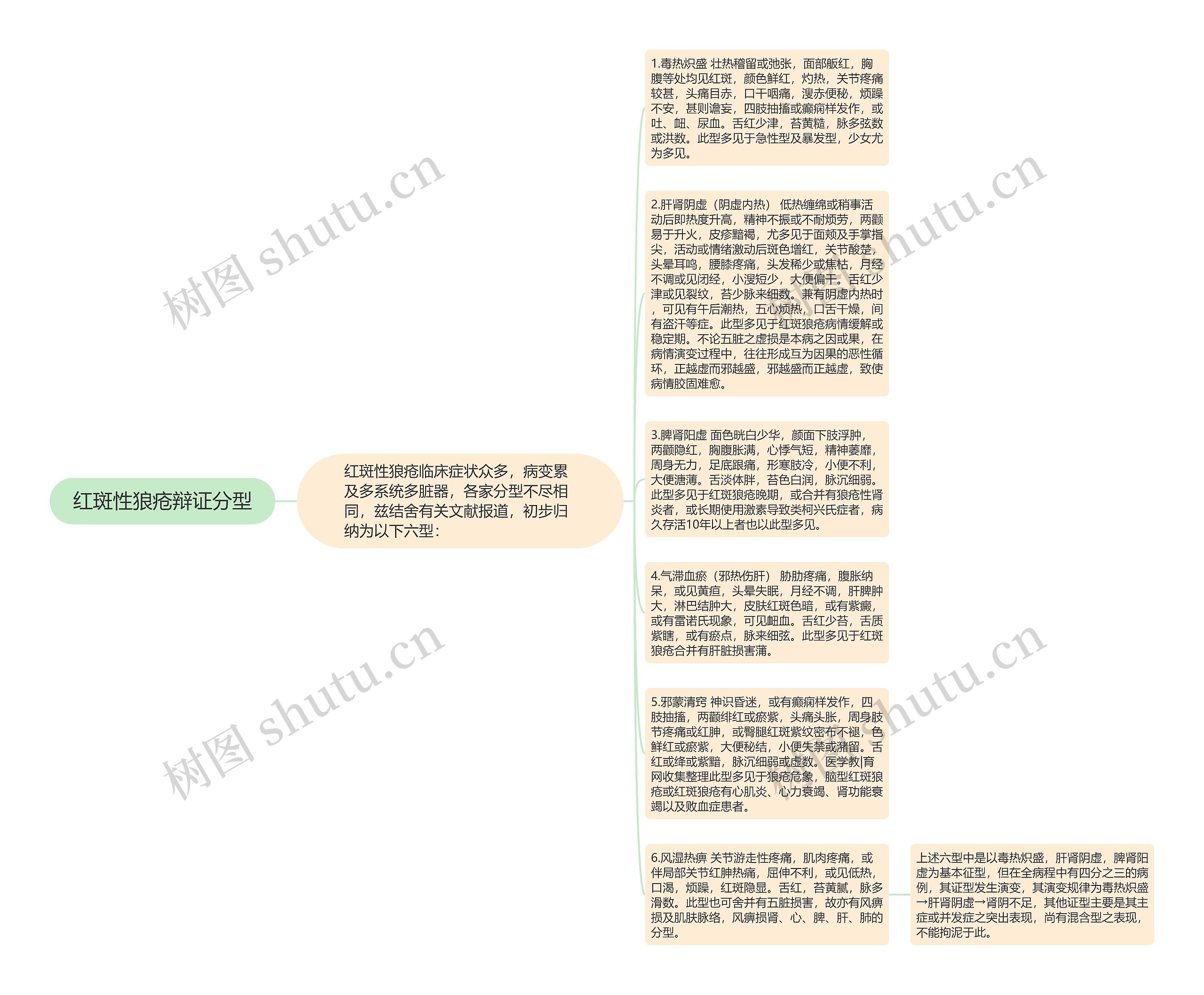 红斑性狼疮辩证分型