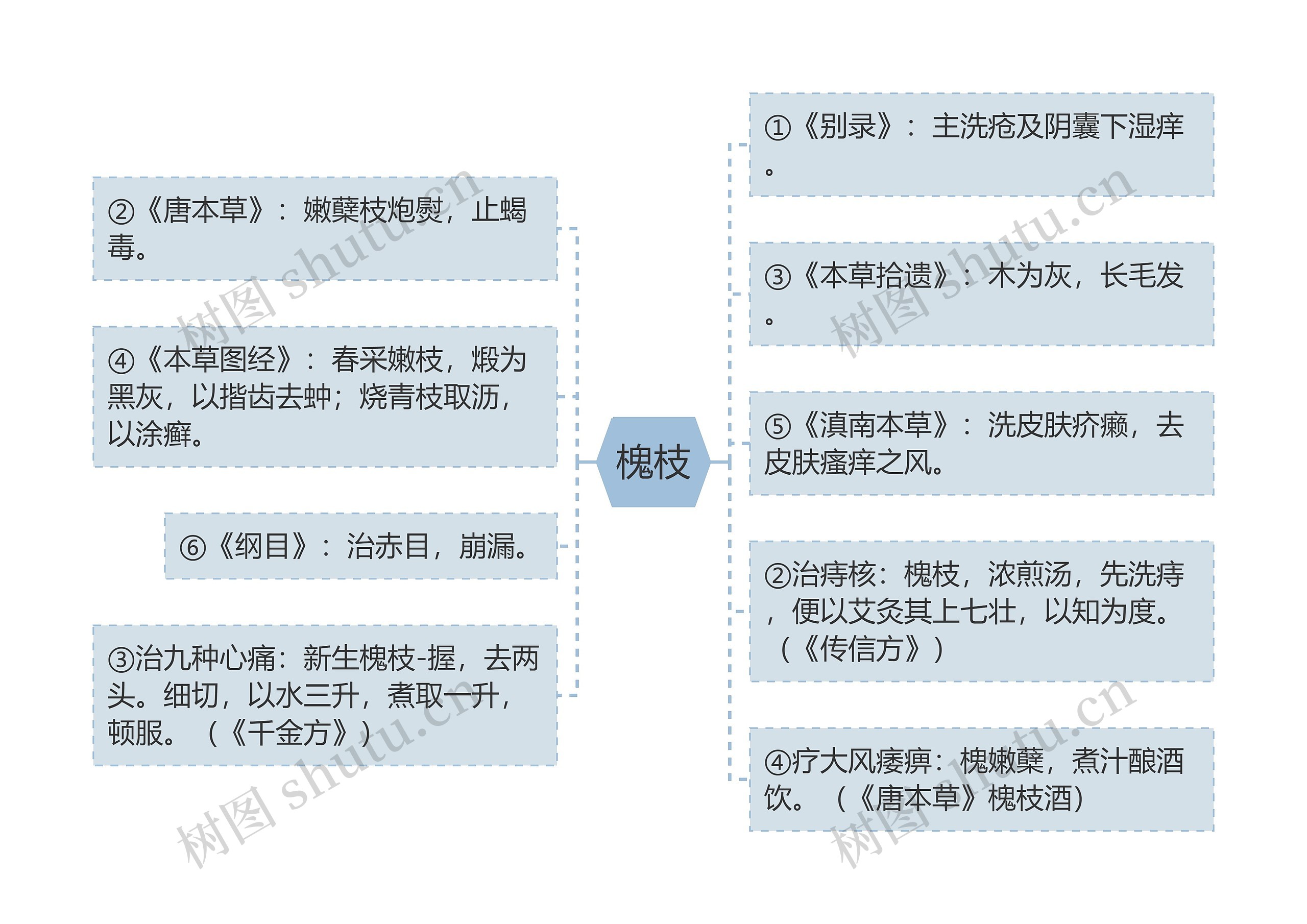 槐枝