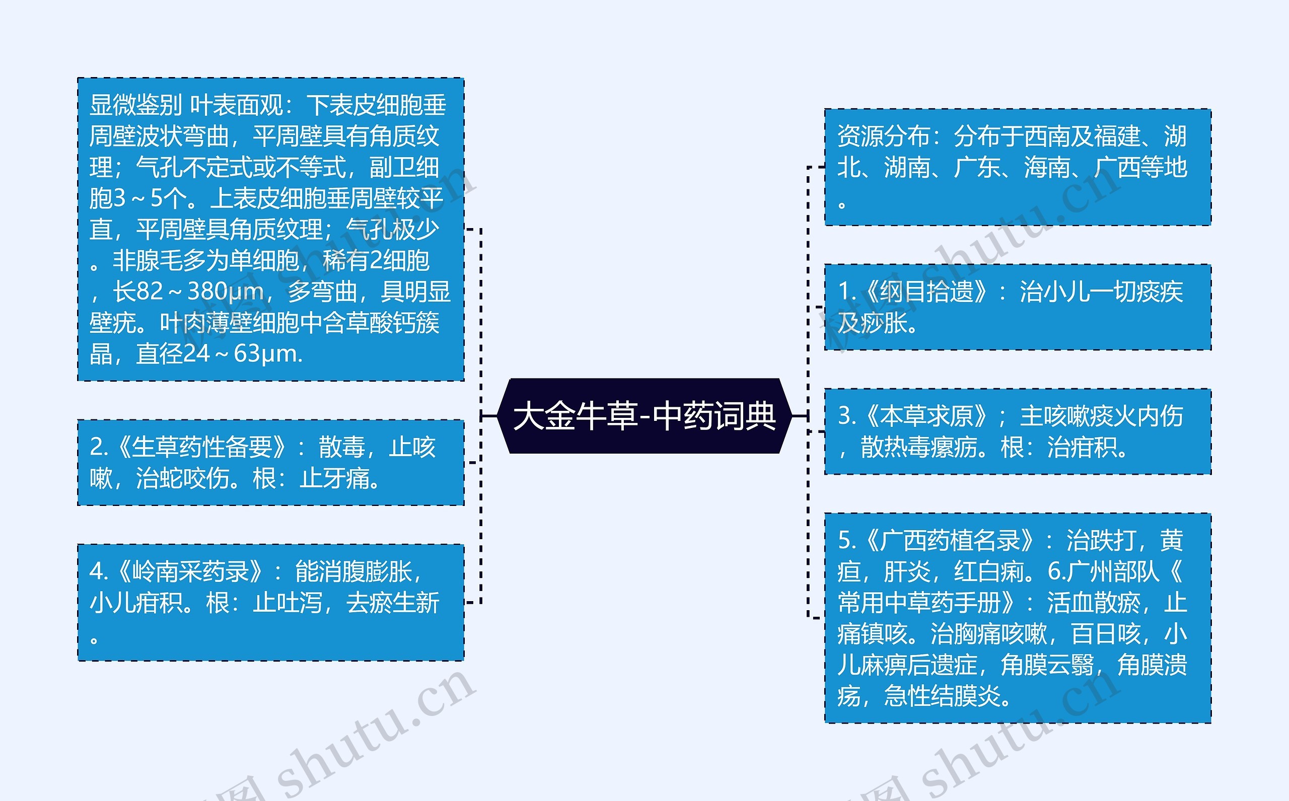 大金牛草-中药词典思维导图