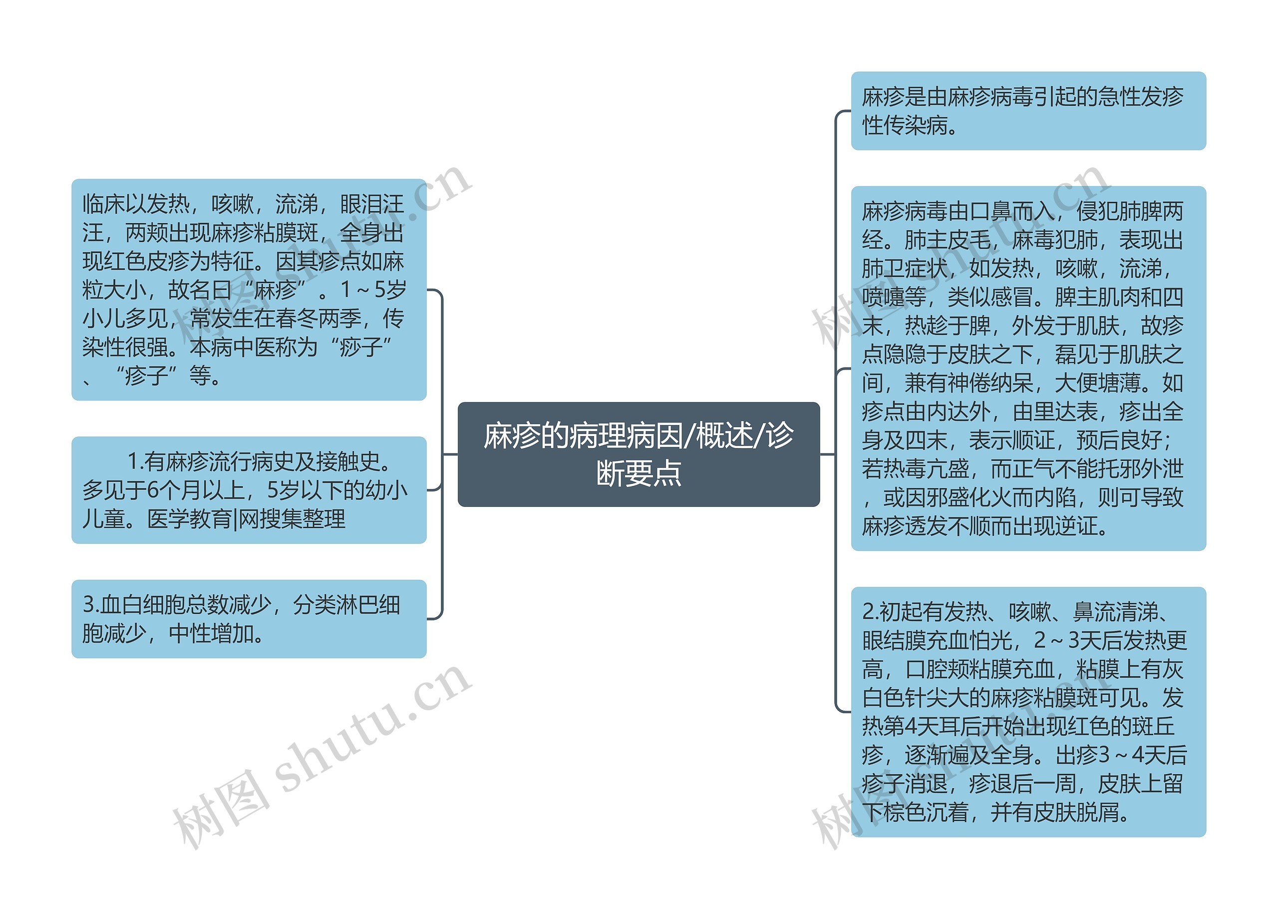 麻疹的病理病因/概述/诊断要点思维导图