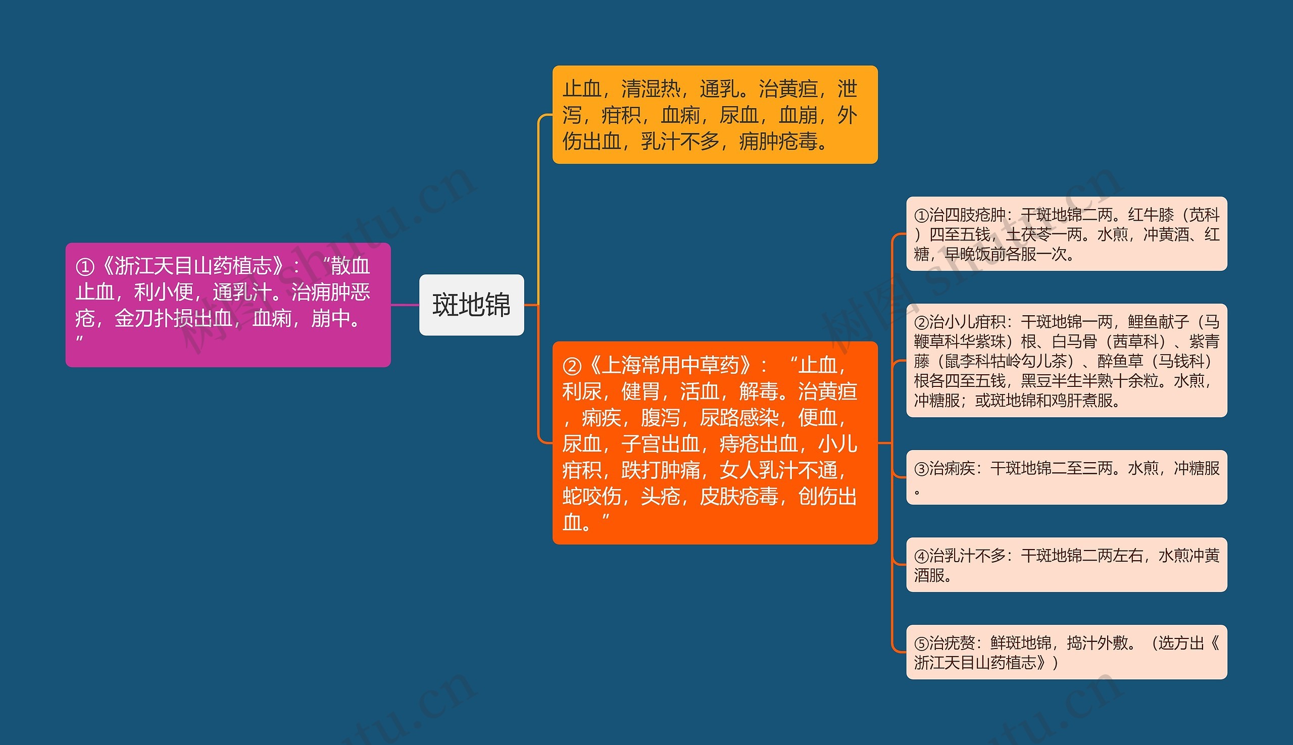 斑地锦思维导图