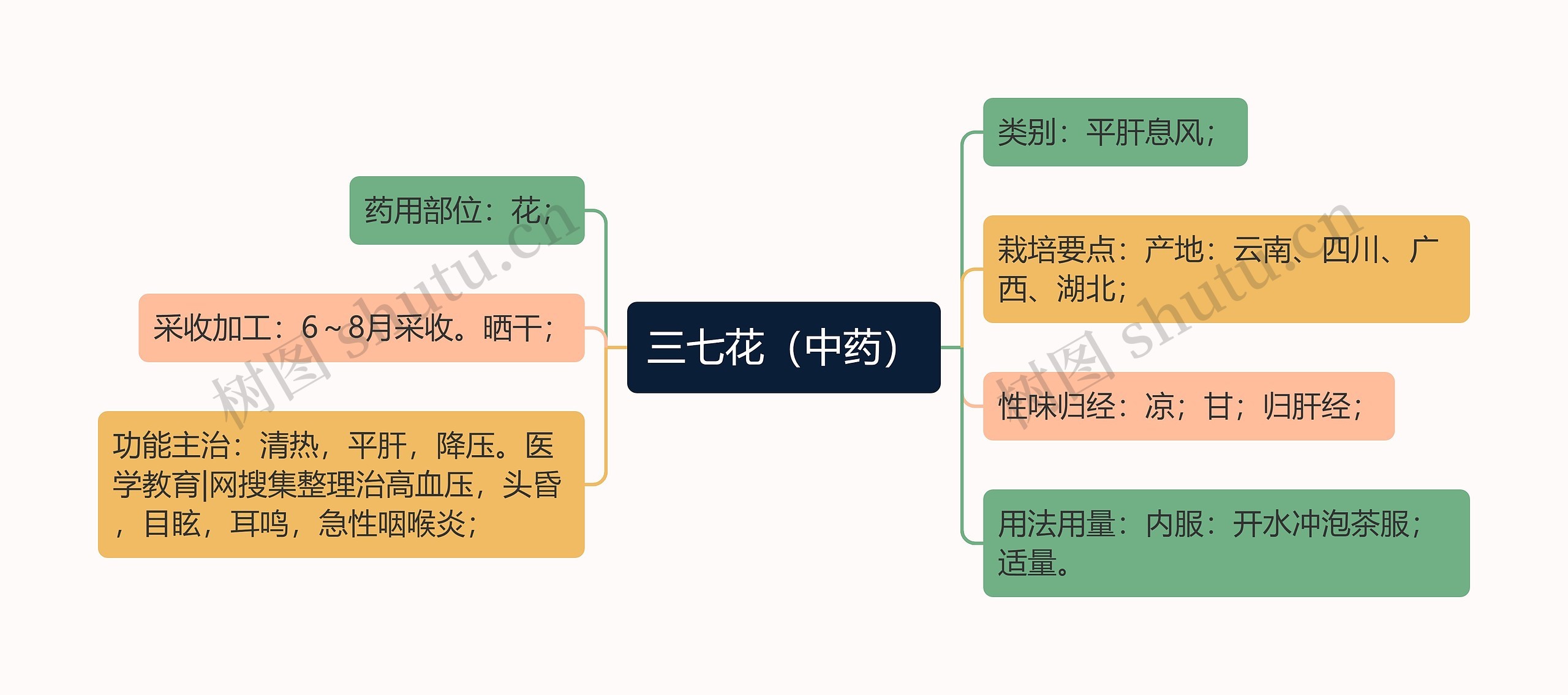 三七花（中药）思维导图