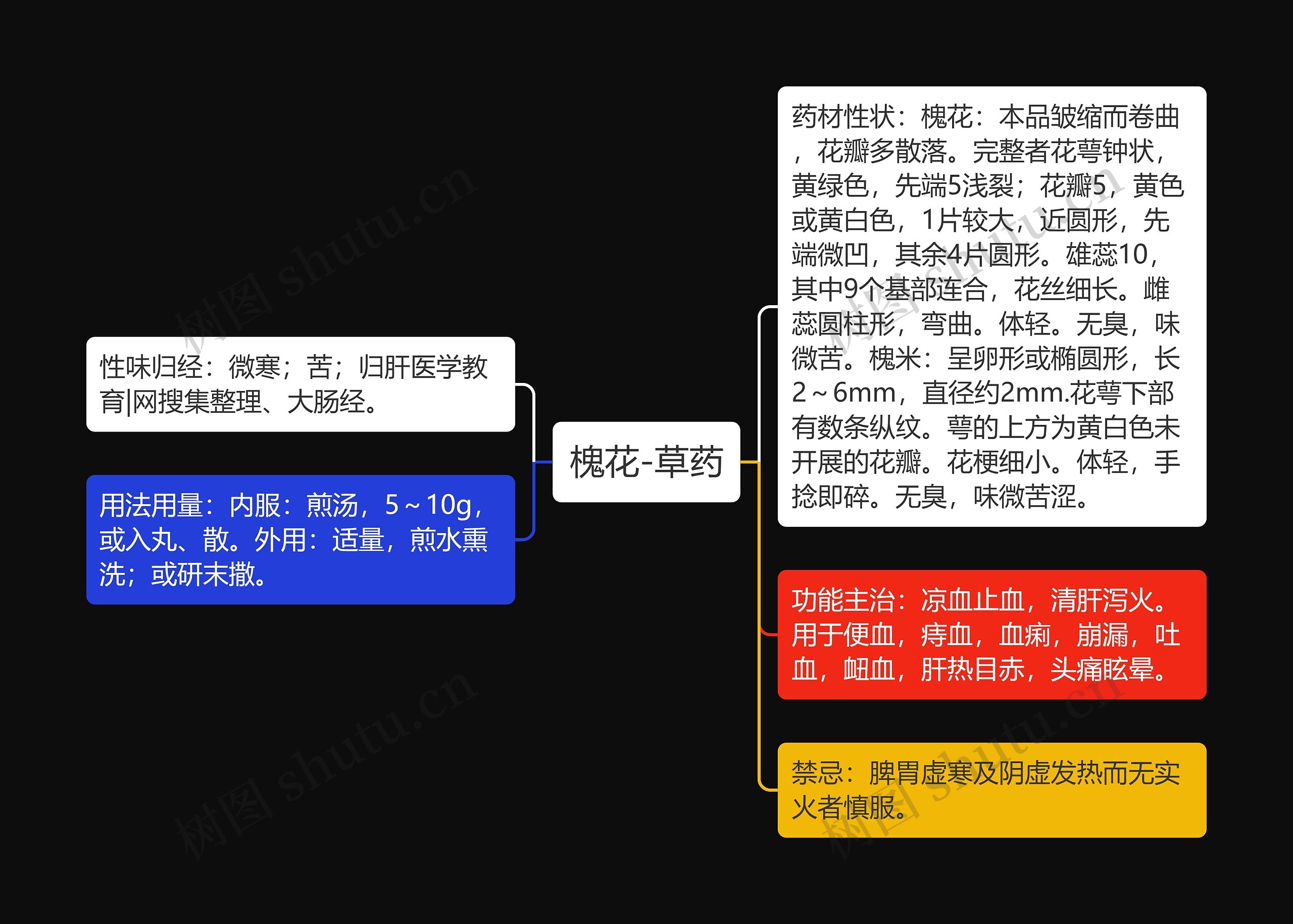 槐花-草药思维导图