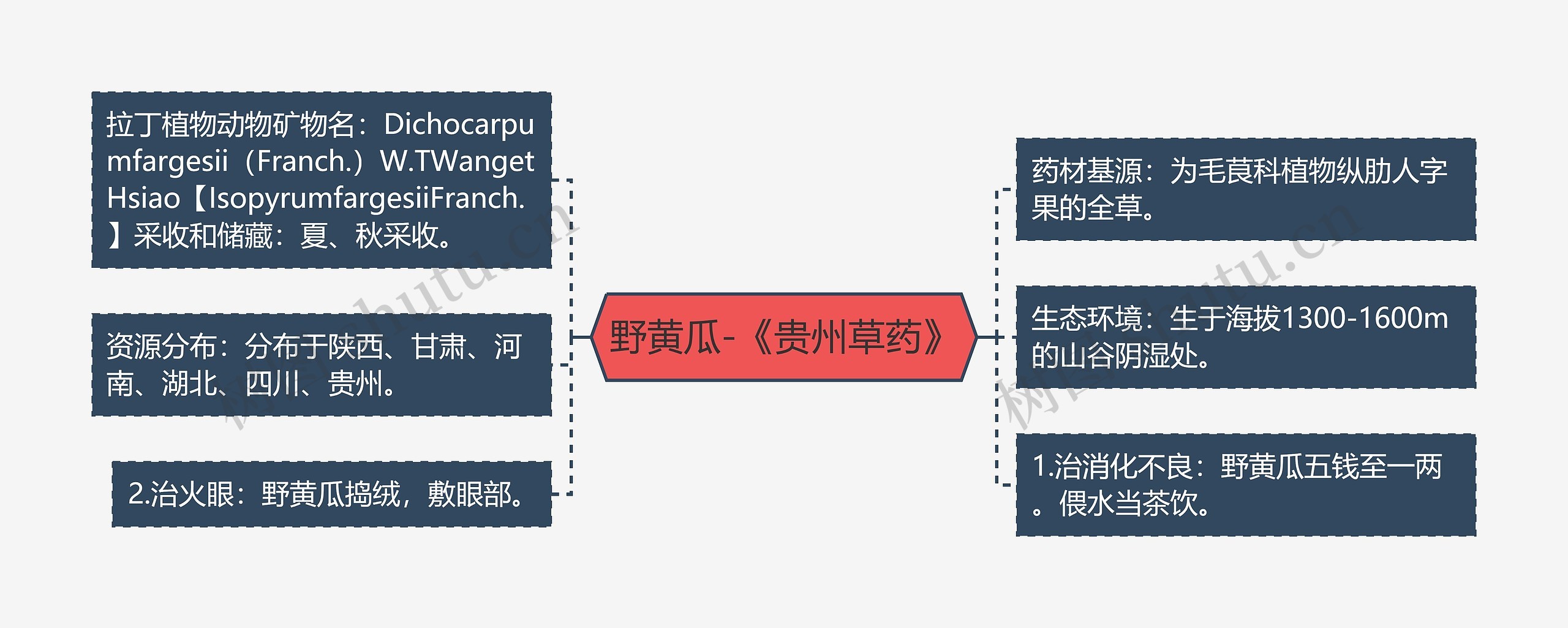 野黄瓜-《贵州草药》思维导图