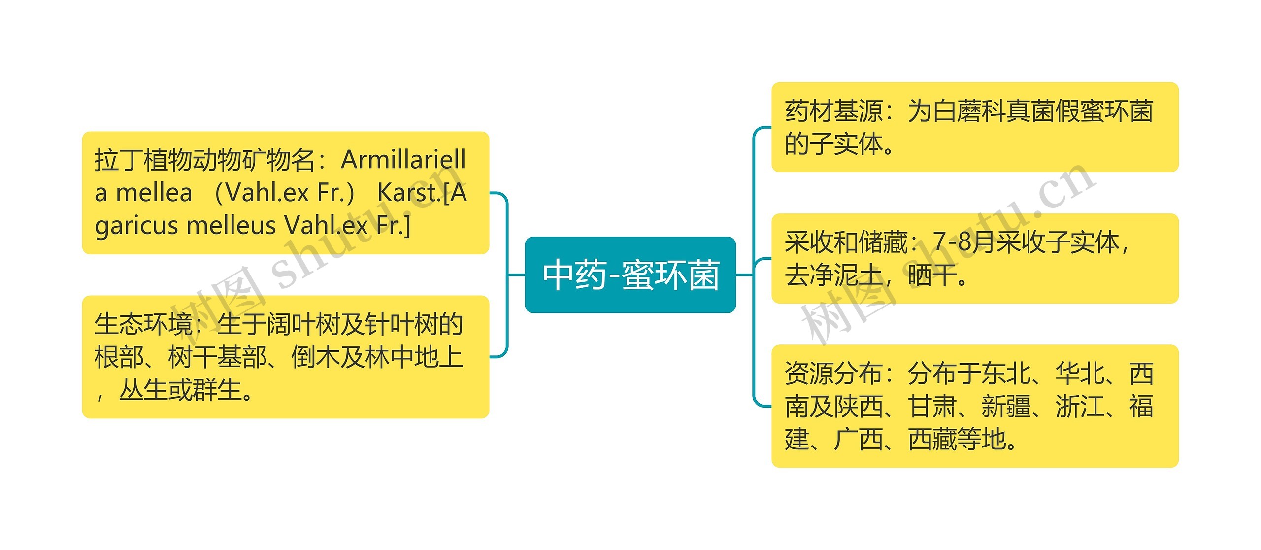 中药-蜜环菌思维导图