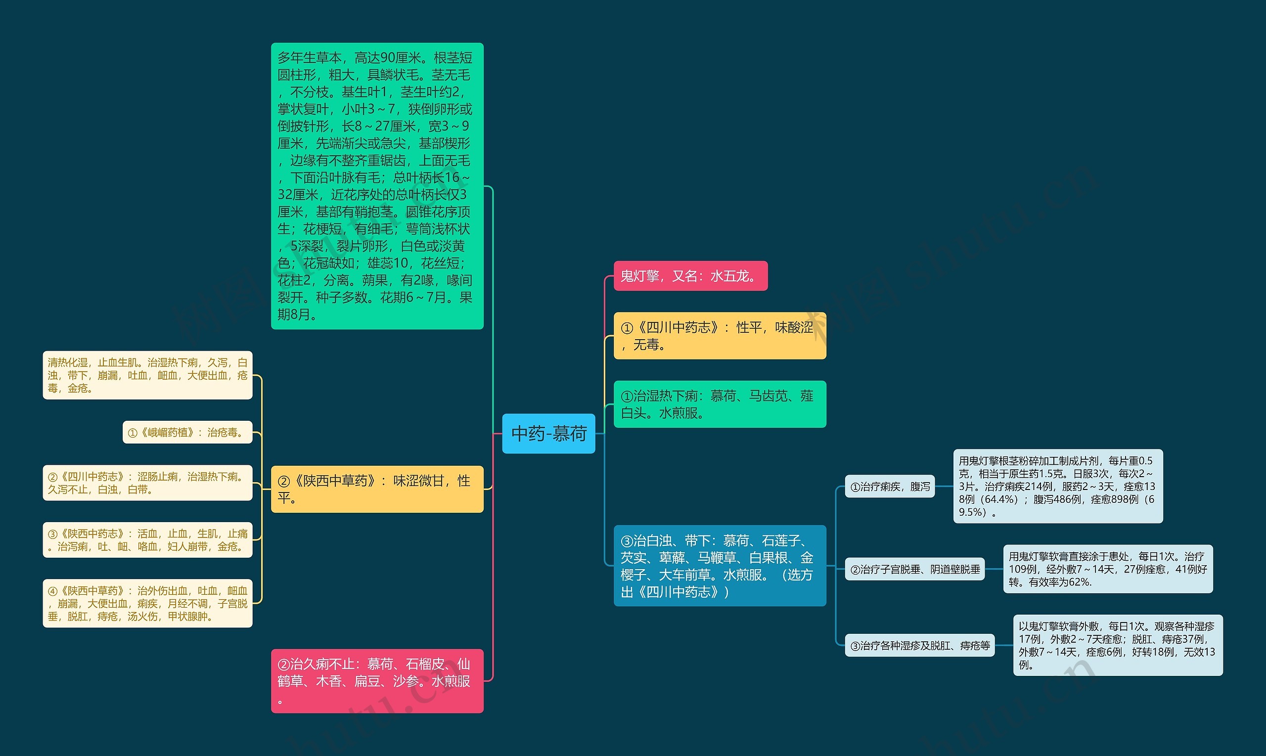 中药-慕荷思维导图
