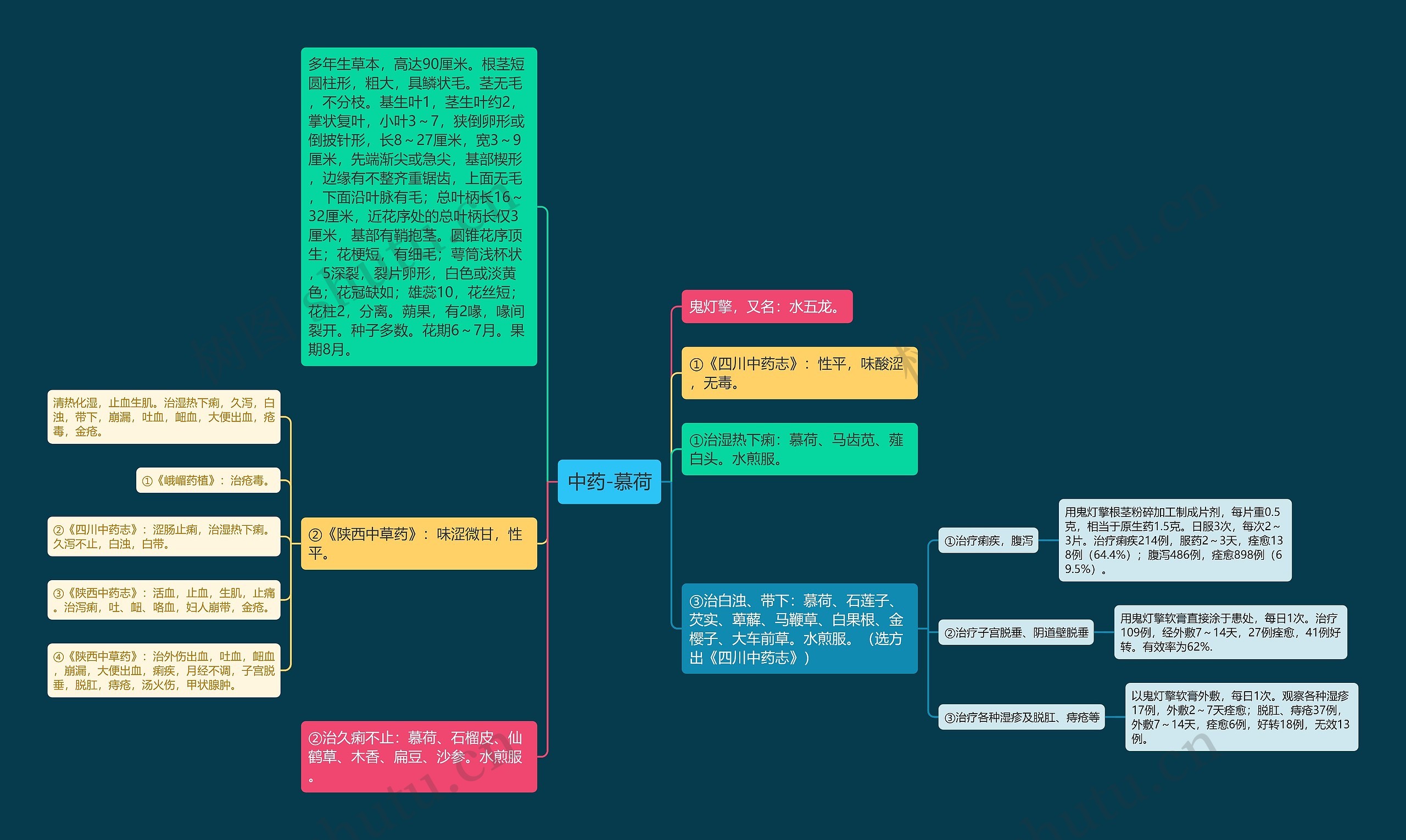 中药-慕荷 中药-慕荷