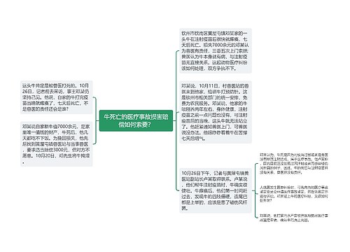 牛死亡的医疗事故损害赔偿如何索要？