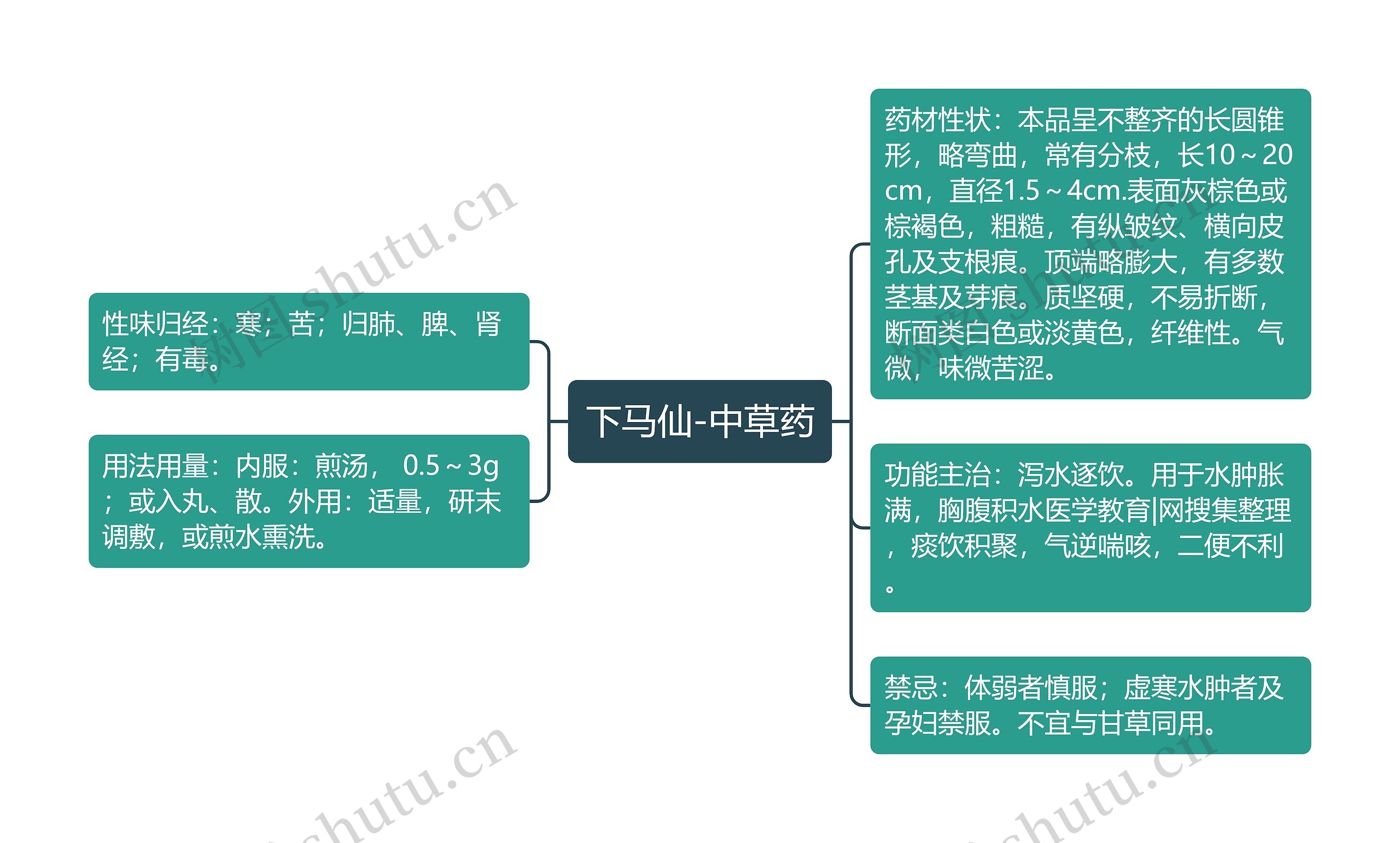 下马仙-中草药思维导图