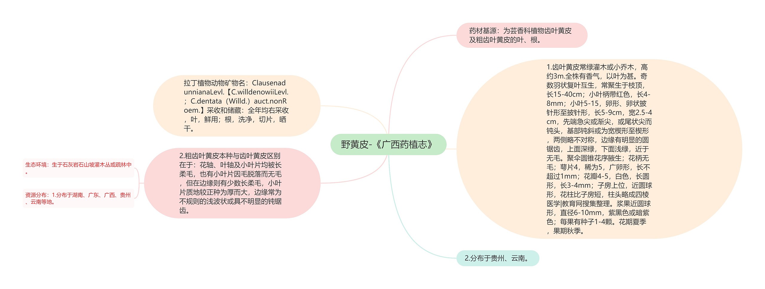 野黄皮-《广西药植志》