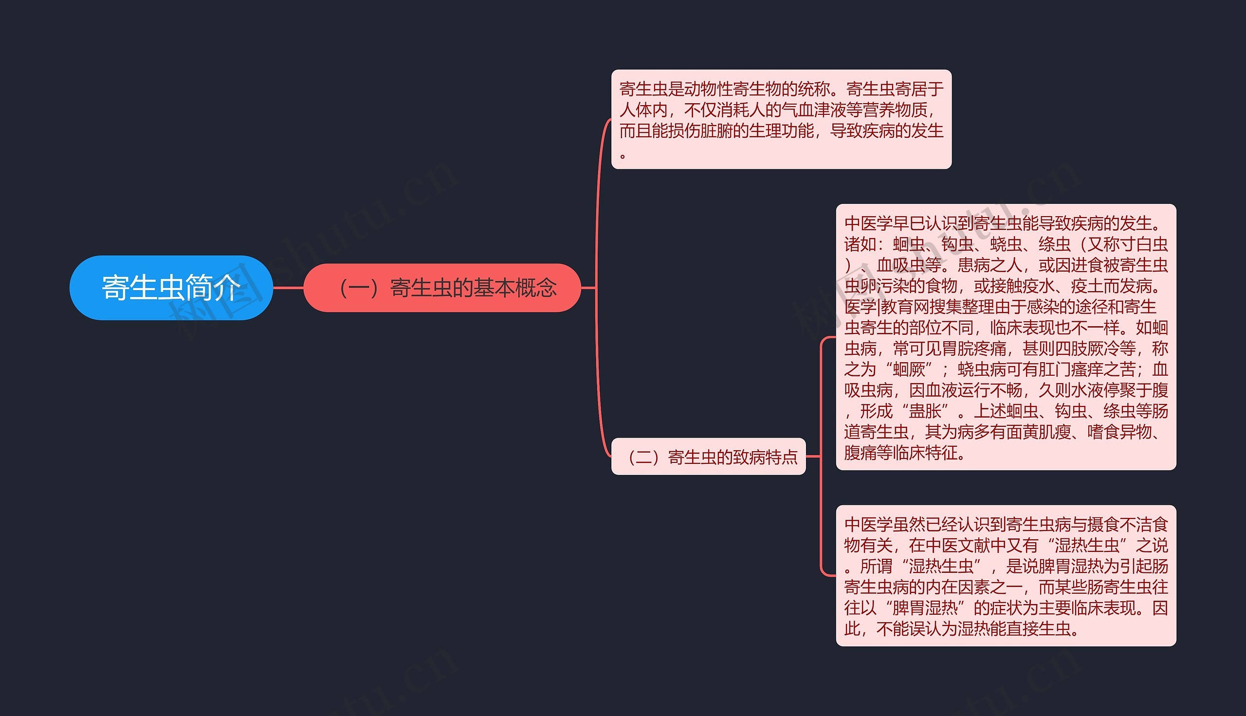 寄生虫简介