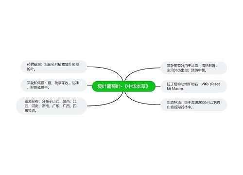 复叶葡萄叶-《中华本草》