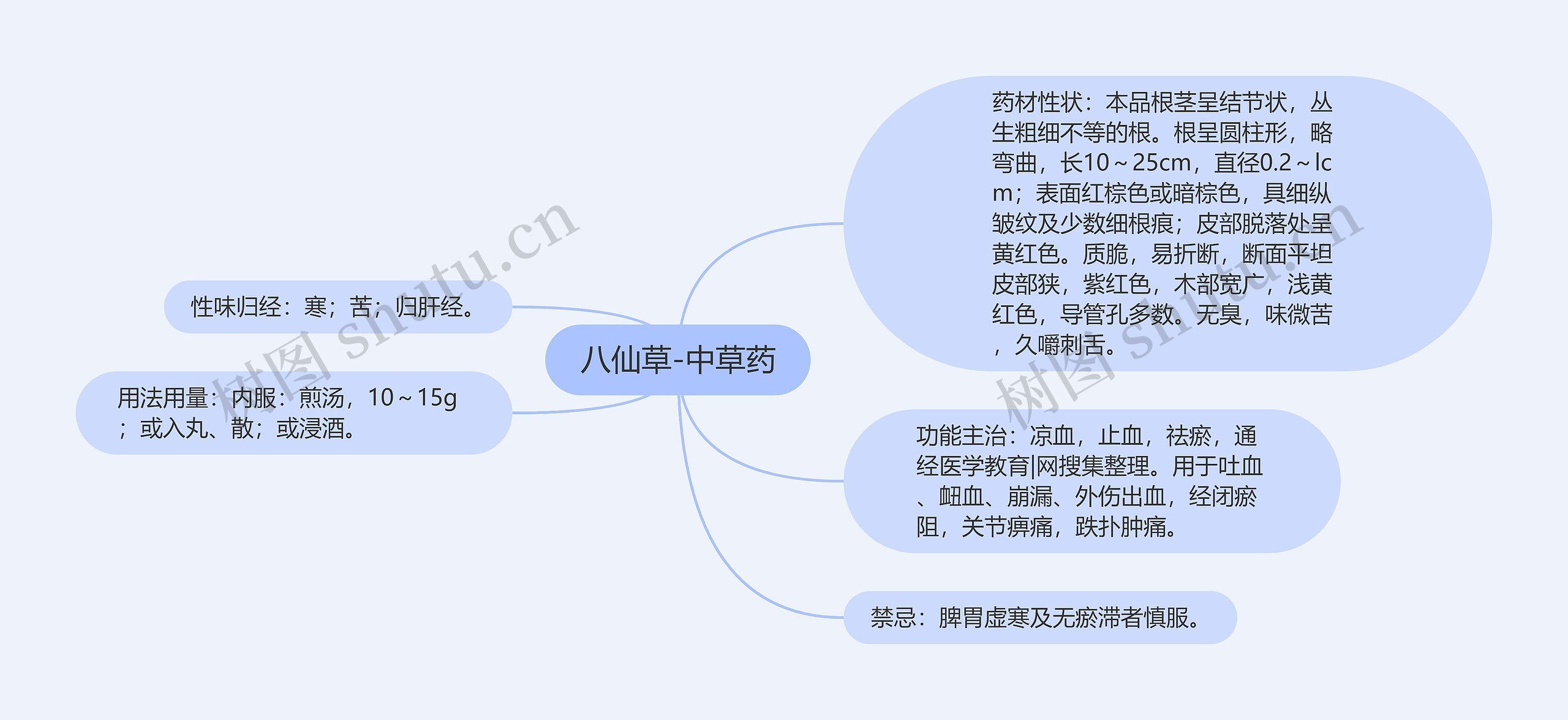 八仙草-中草药 八仙草-中草药