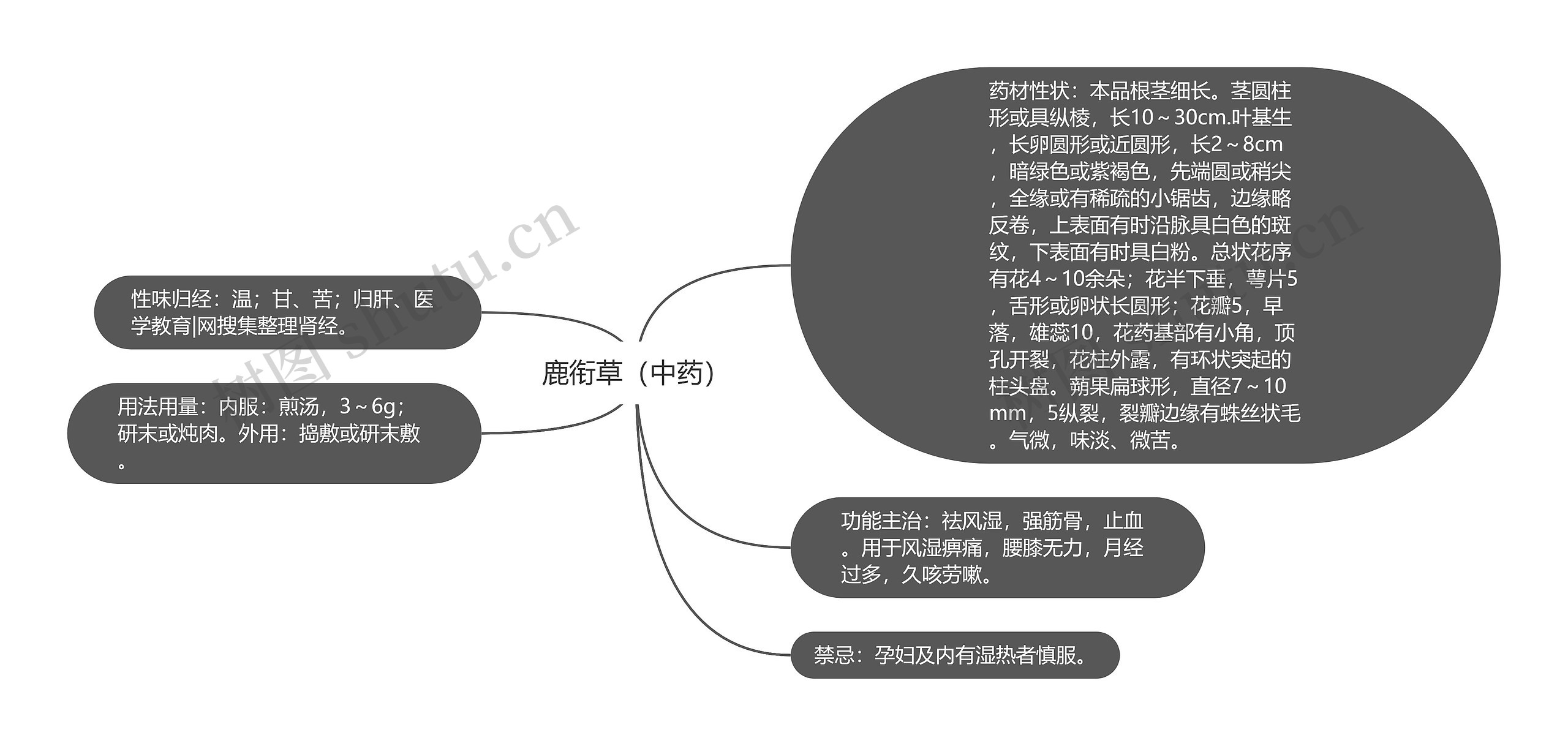 鹿衔草（中药）思维导图