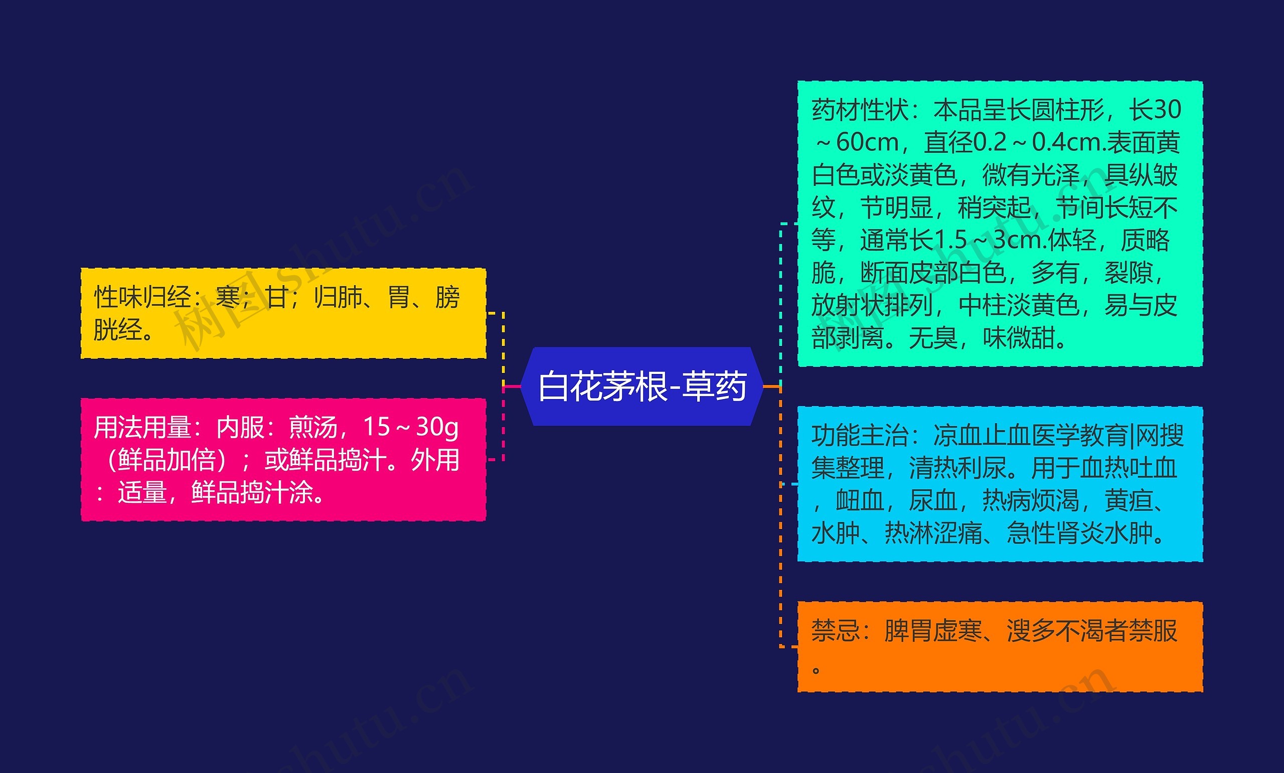 白花茅根-草药思维导图