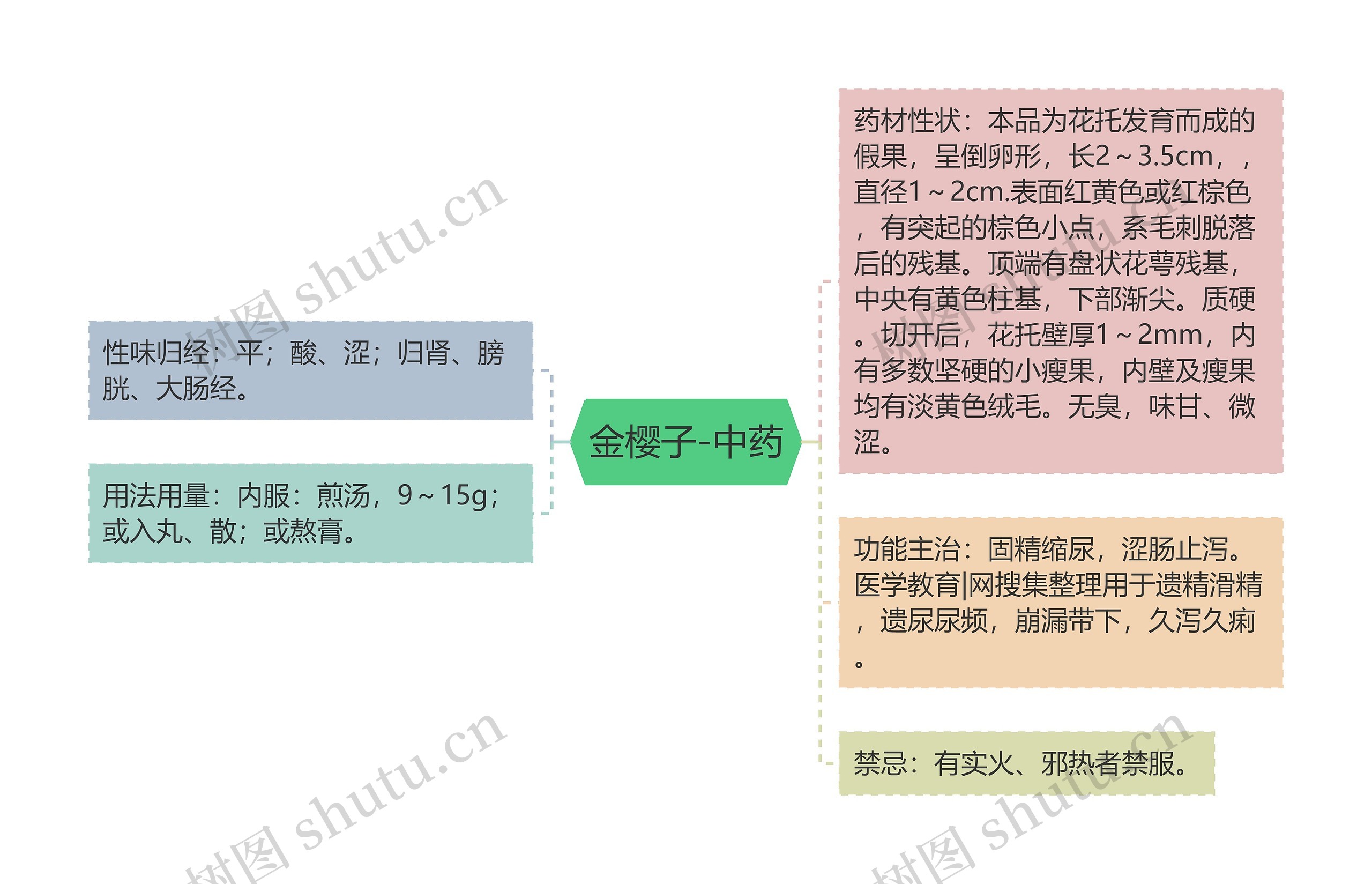 金樱子-中药 金樱子-中药
