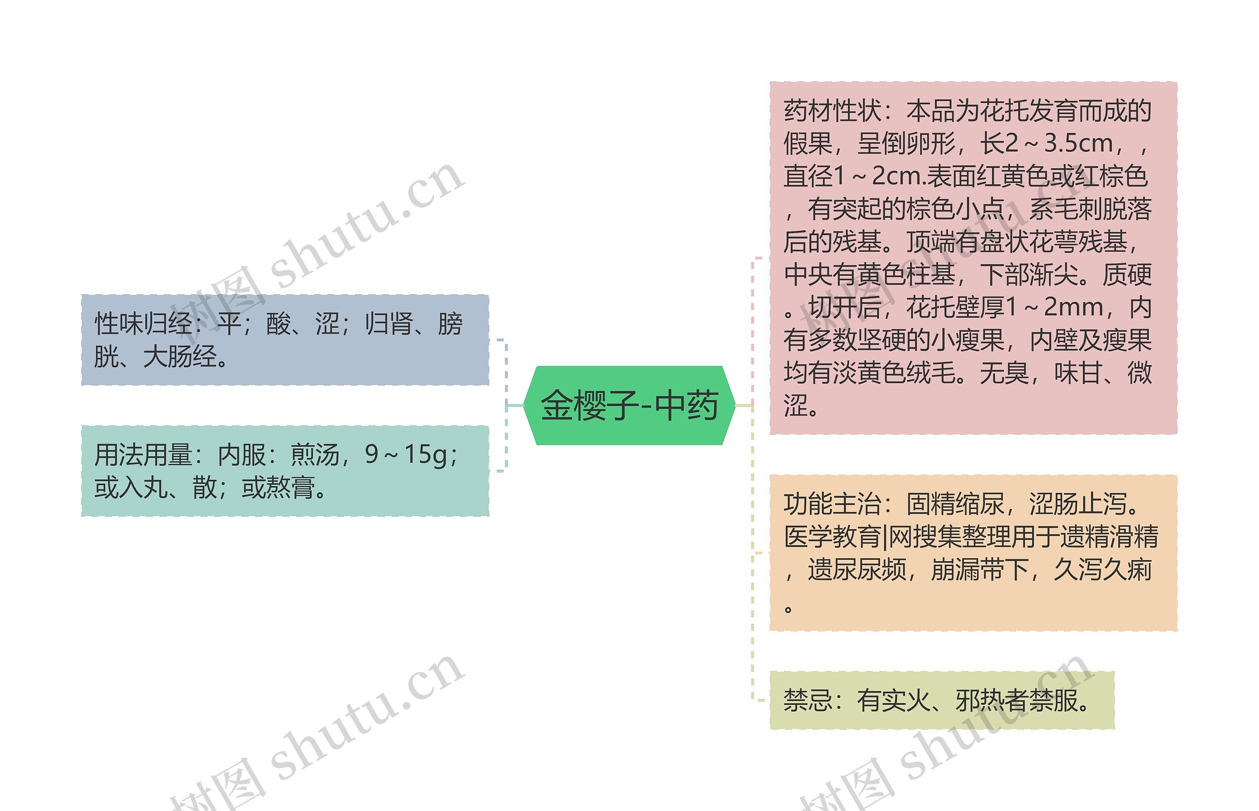金樱子-中药思维导图