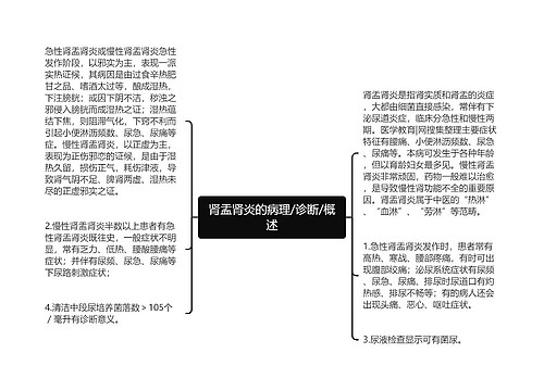 肾盂肾炎的病理/诊断/概述
