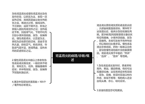 肾盂肾炎的病理/诊断/概述