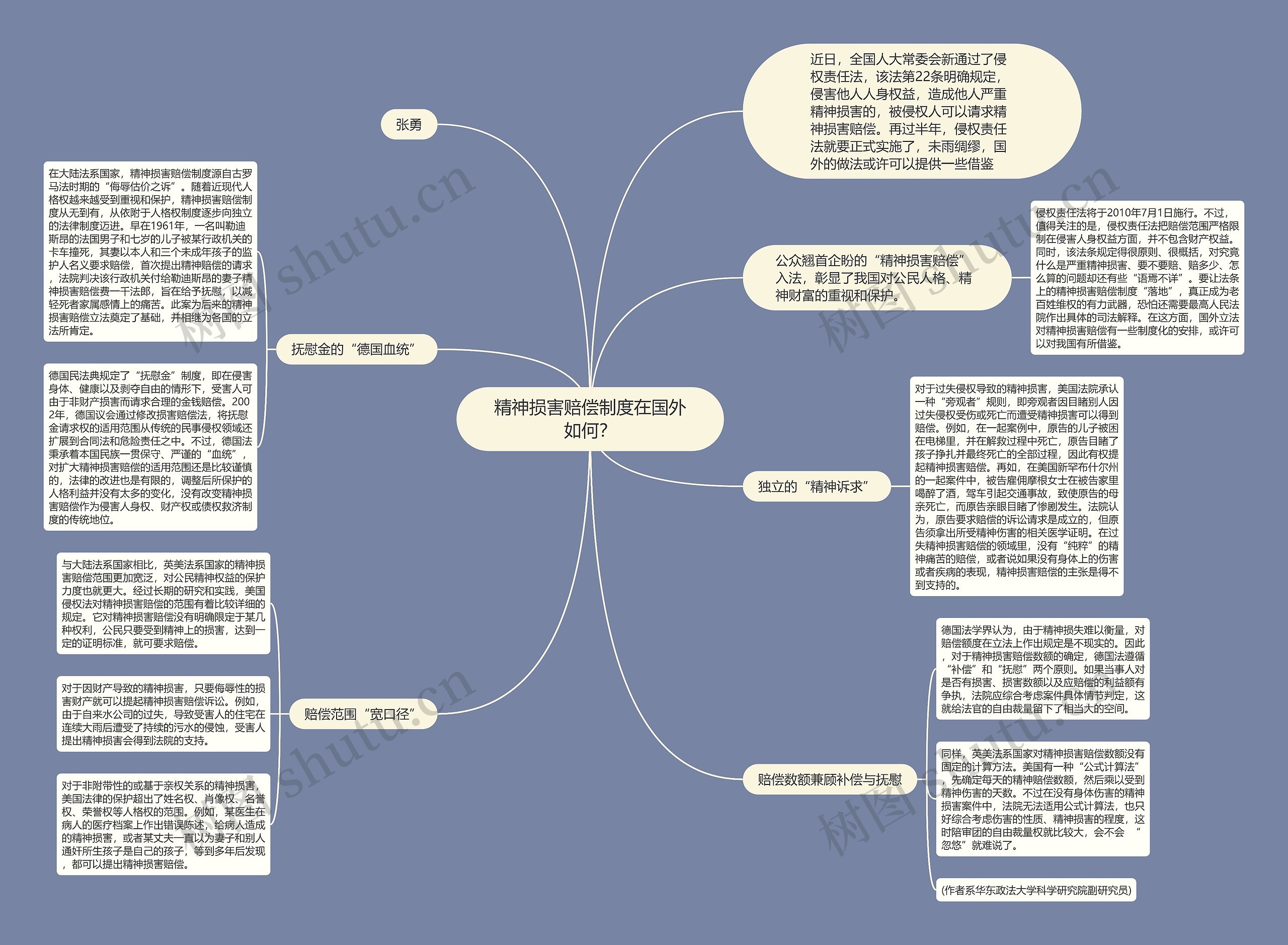 精神损害赔偿制度在国外如何？思维导图