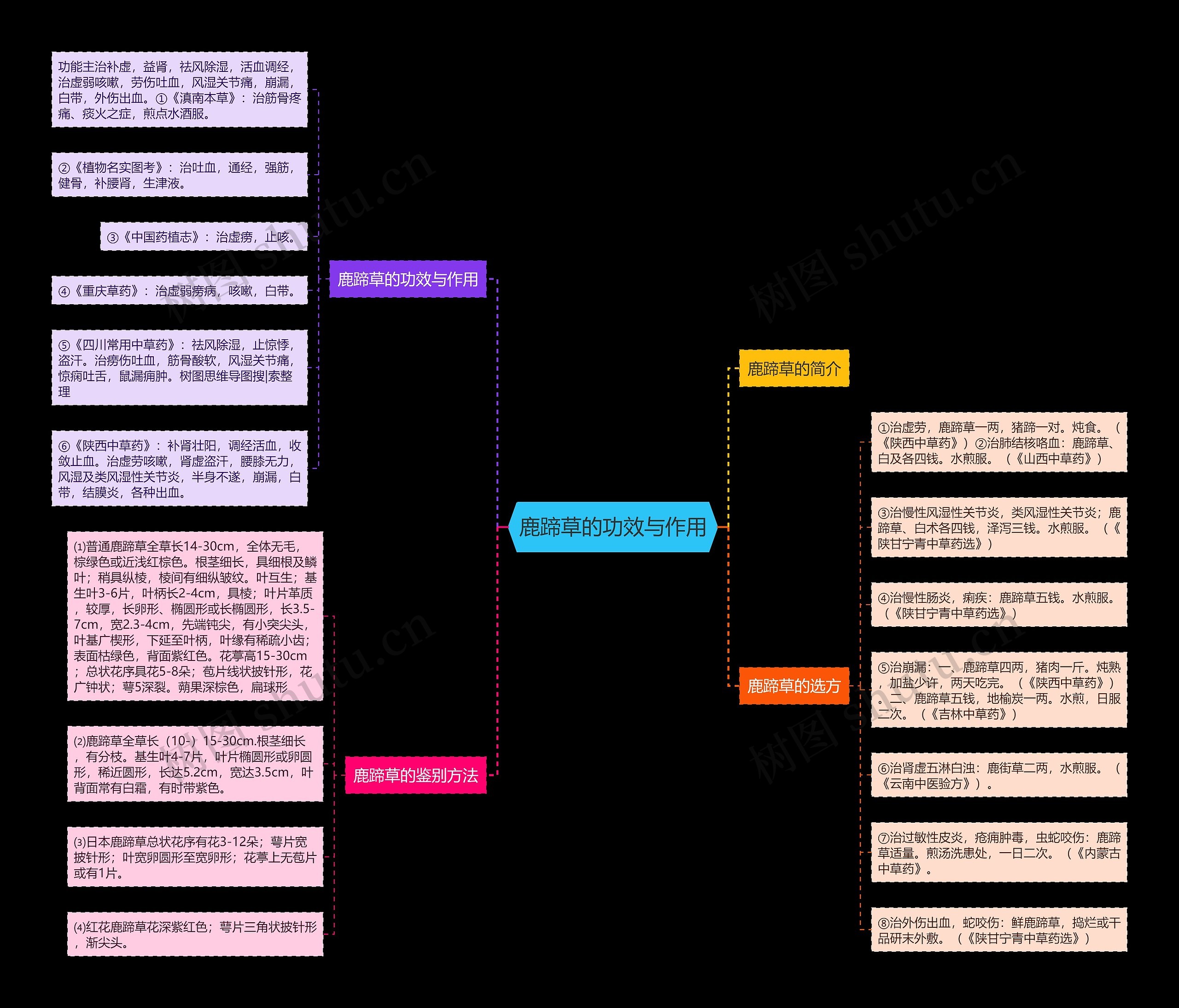 鹿蹄草的功效与作用思维导图