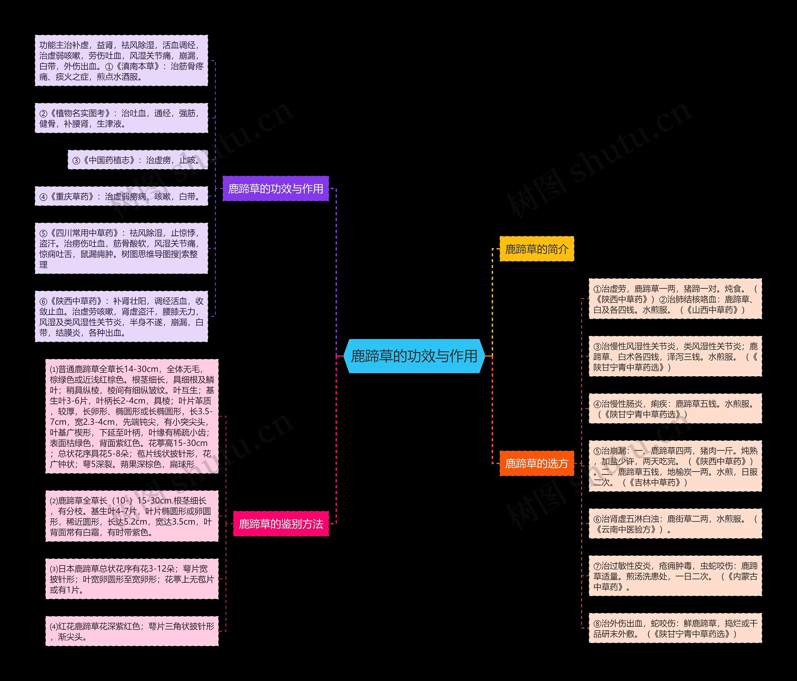 鹿蹄草的功效与作用 鹿蹄草的功效与作用