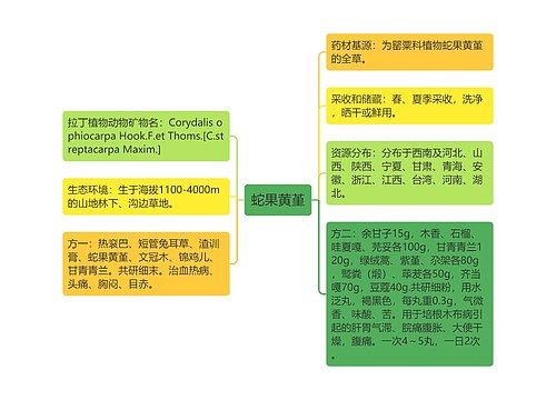 蛇果黄堇