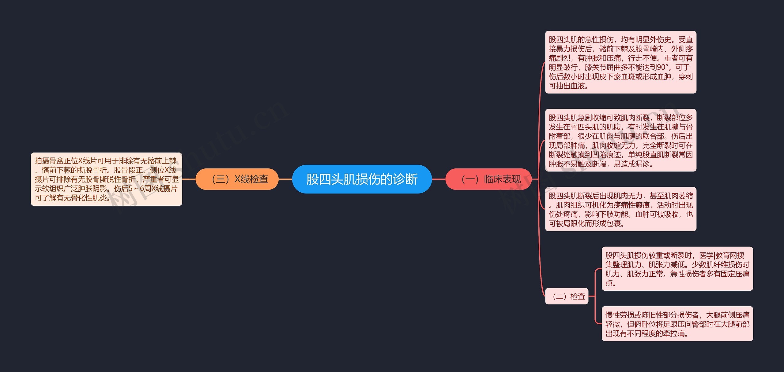 股四头肌损伤的诊断思维导图