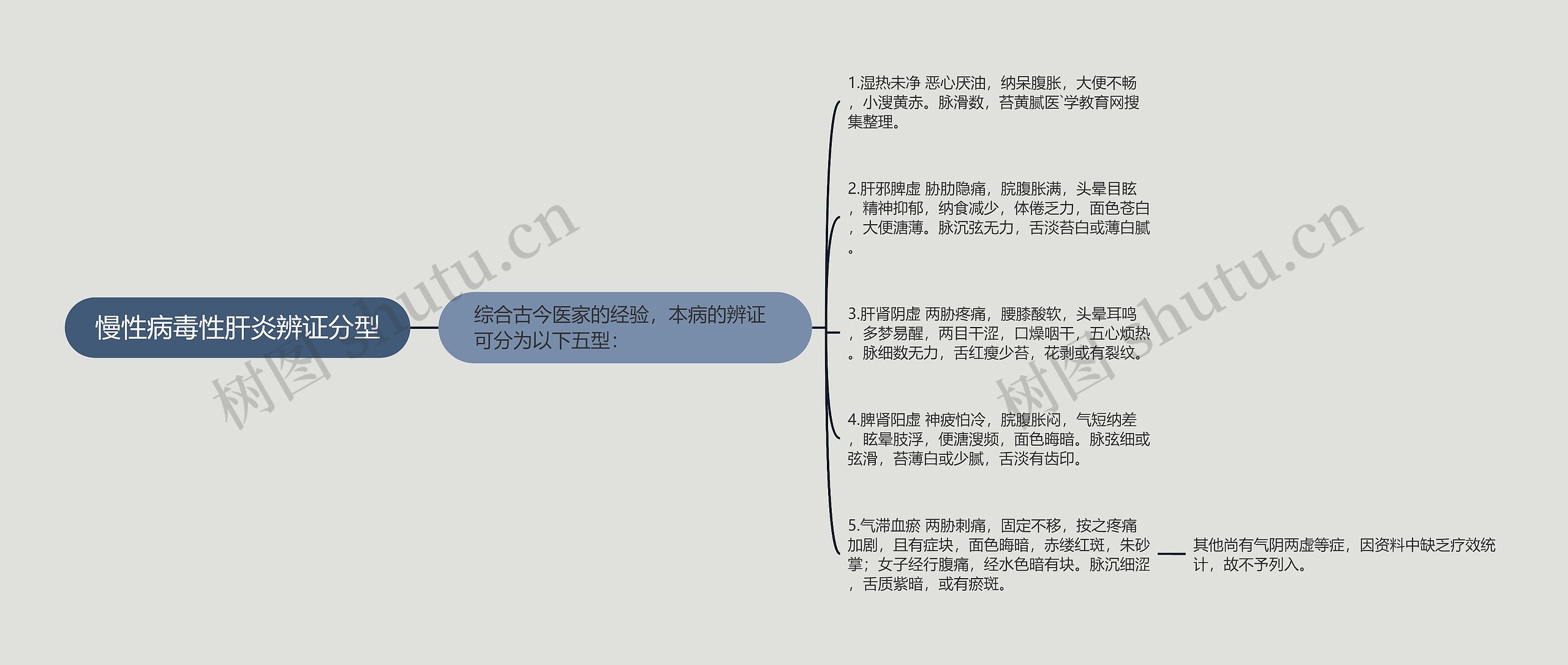 慢性病毒性肝炎辨证分型思维导图