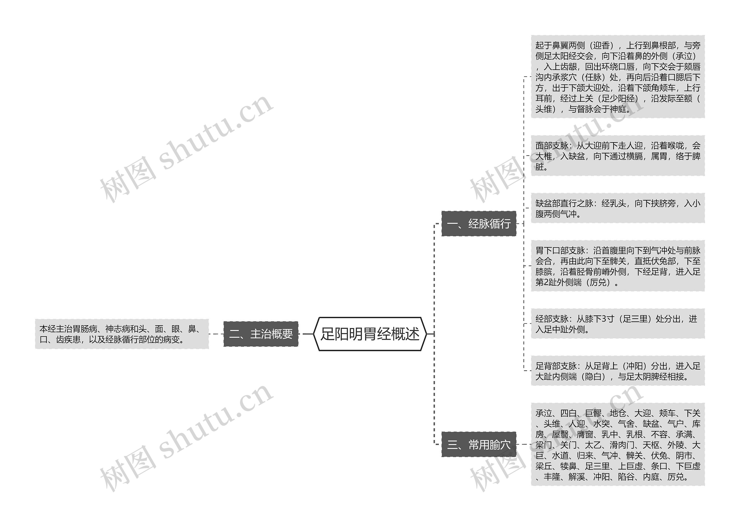 足阳明胃经概述思维导图