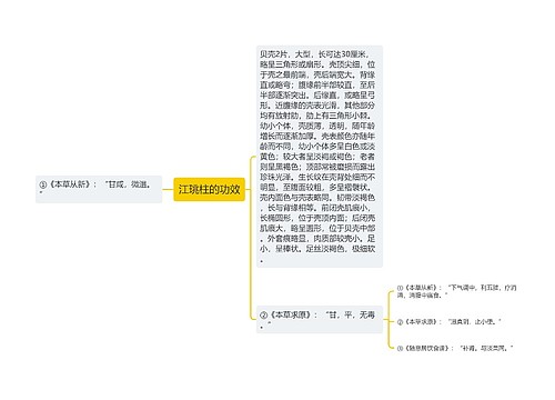 江珧柱的功效