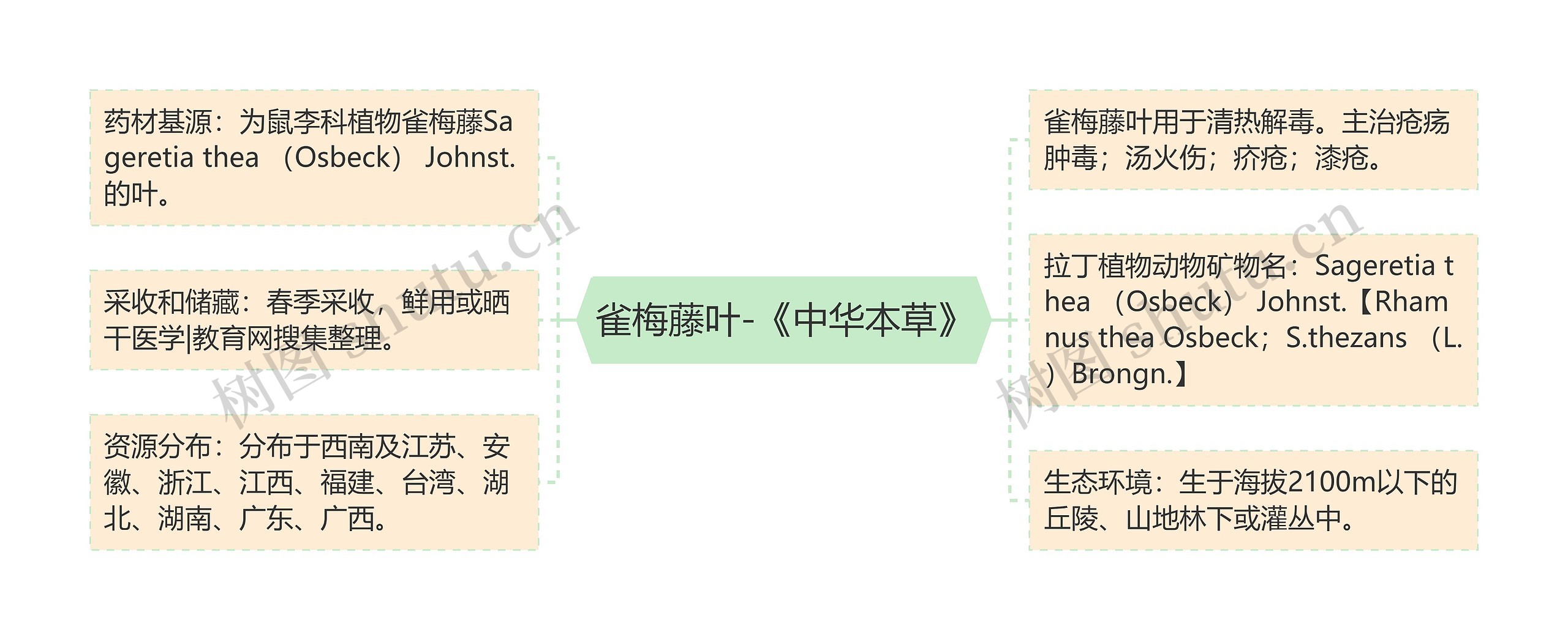 雀梅藤叶-《中华本草》思维导图