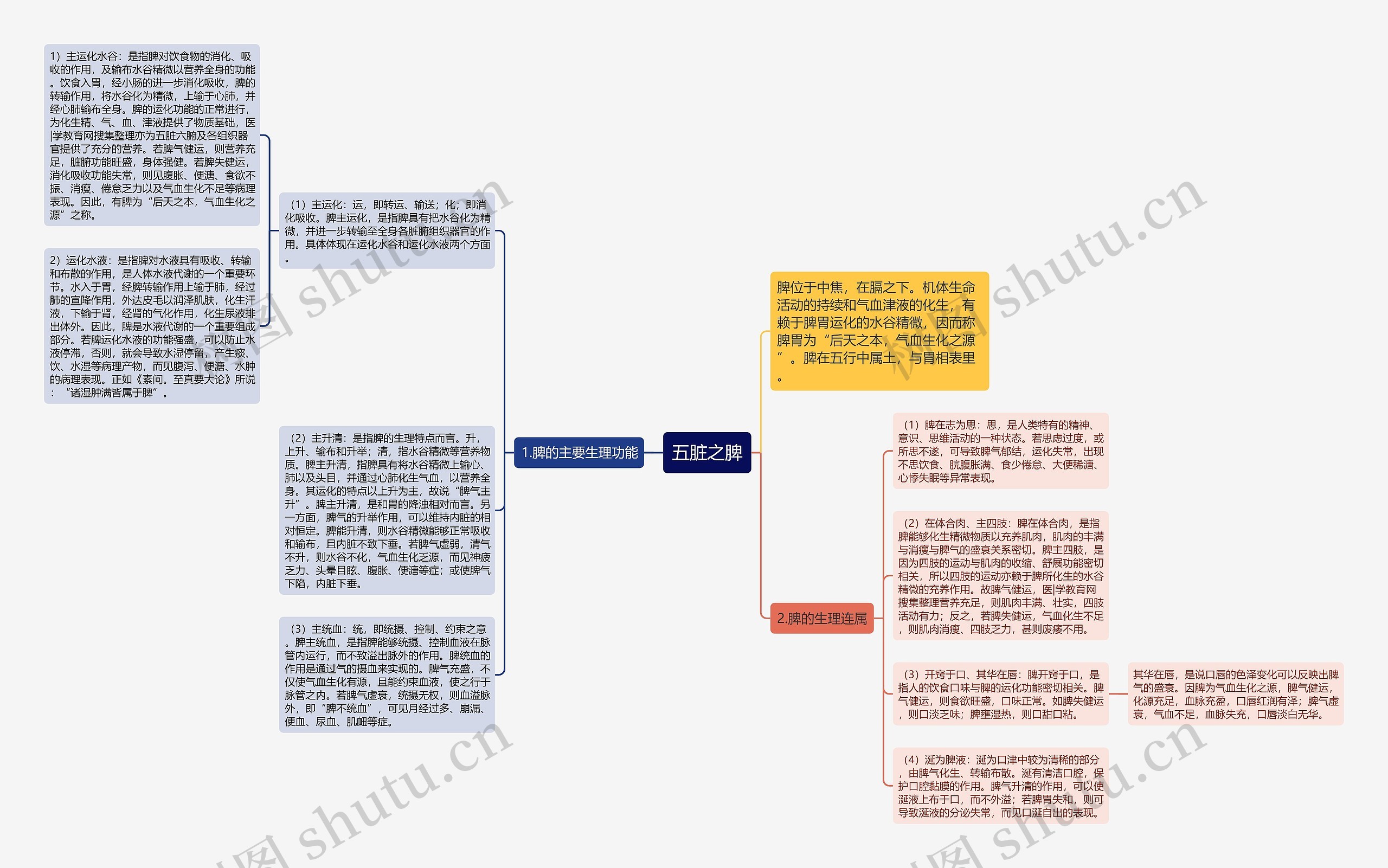 五脏之脾思维导图